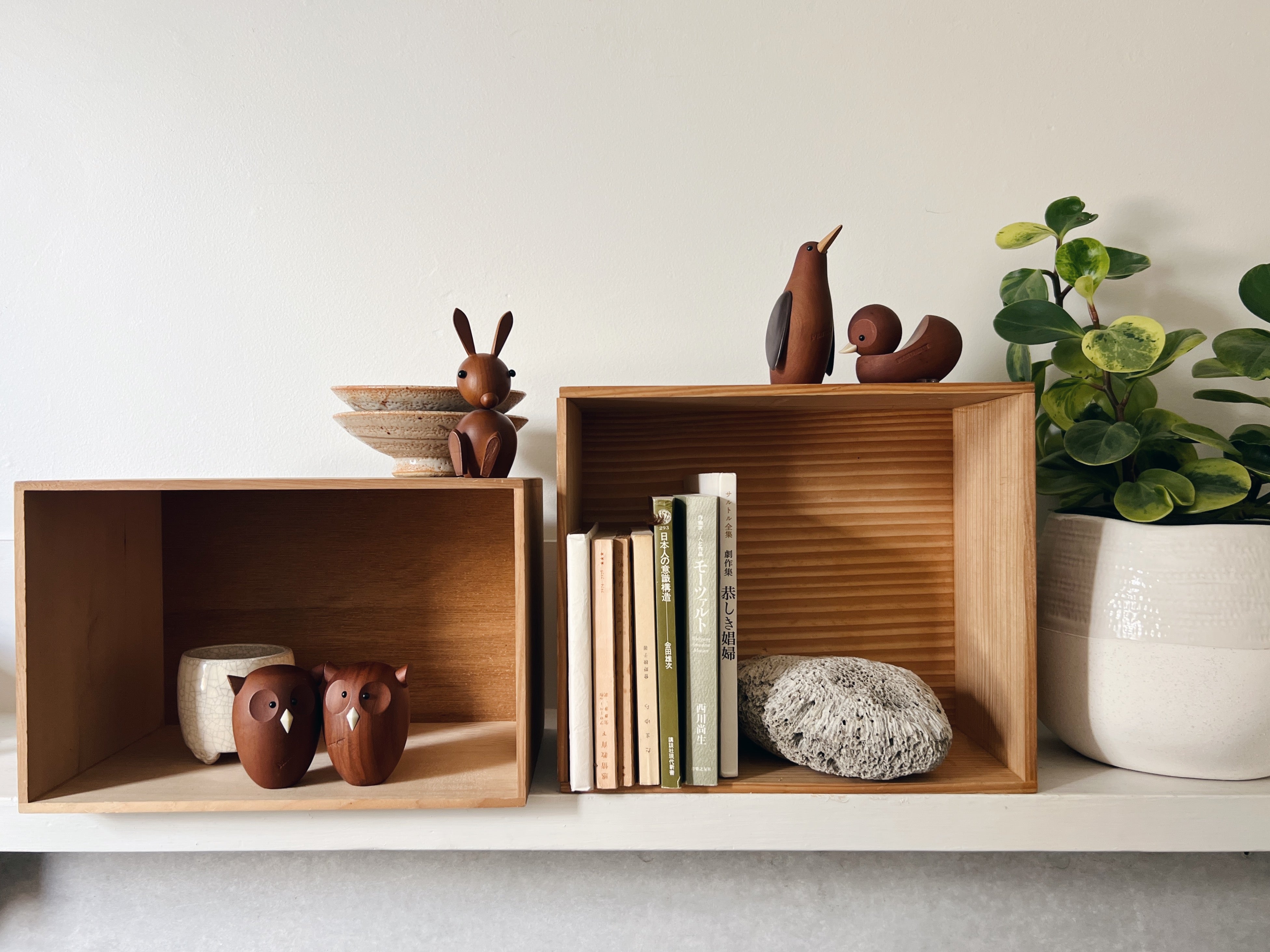 senshukai royal pet : squirrel