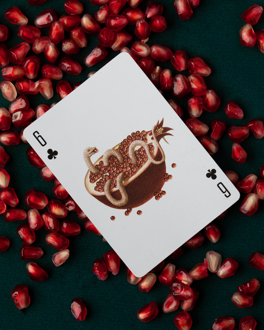 art of play : cabinetarium playing cards