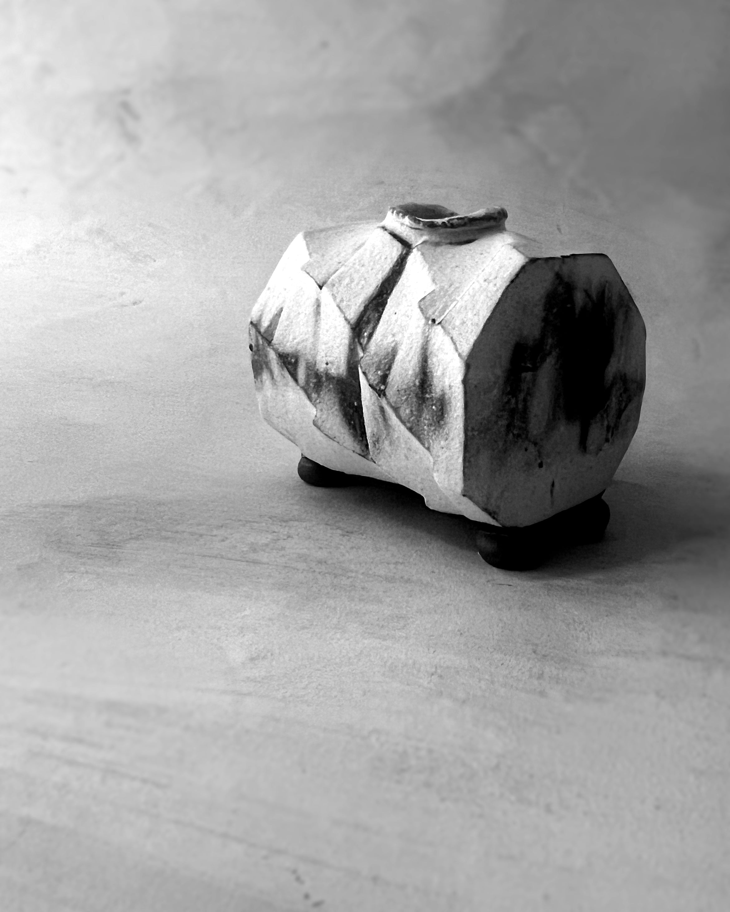 Shigaraki Ware : ceramic vase