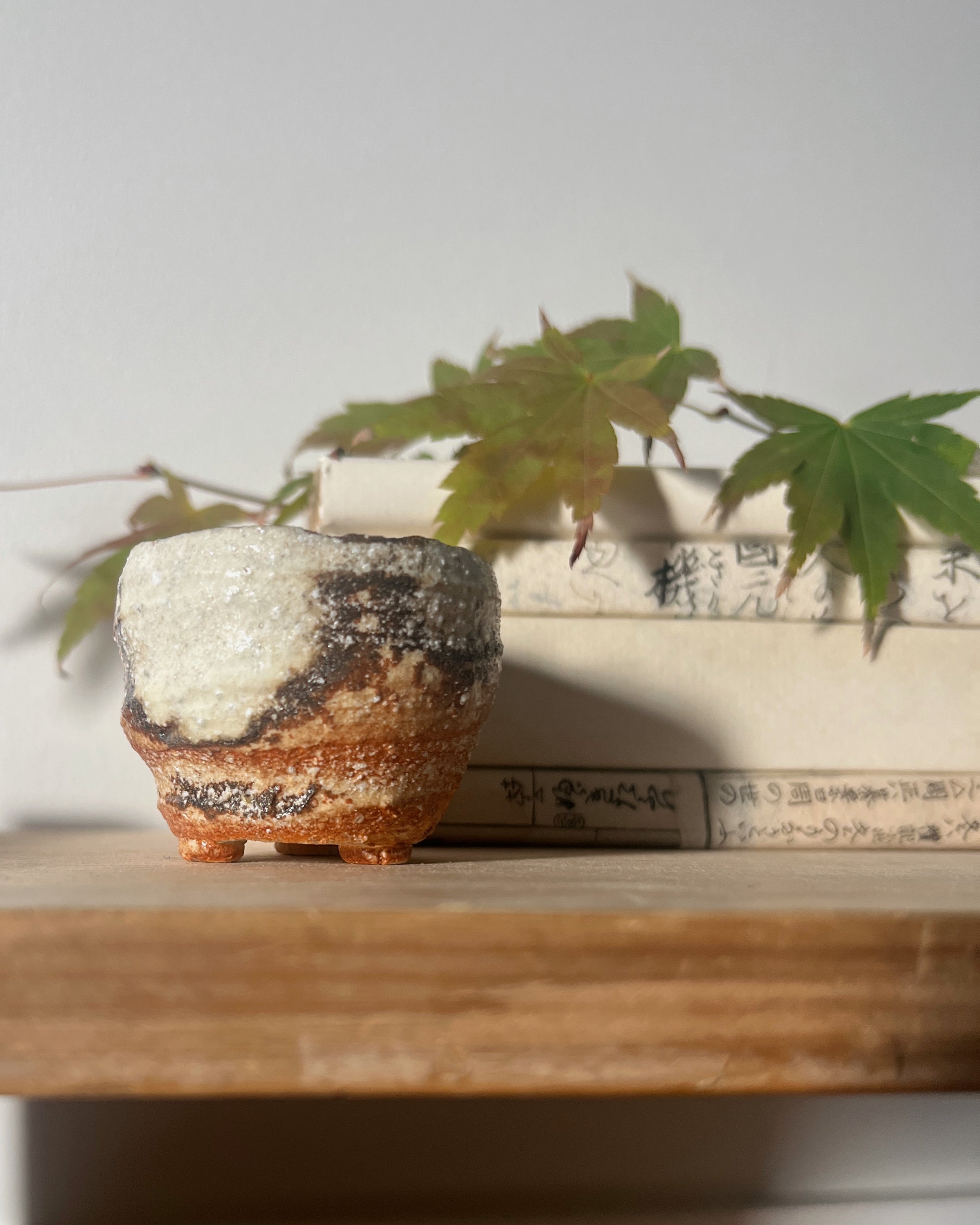 Shigaraki Ware : mini planter