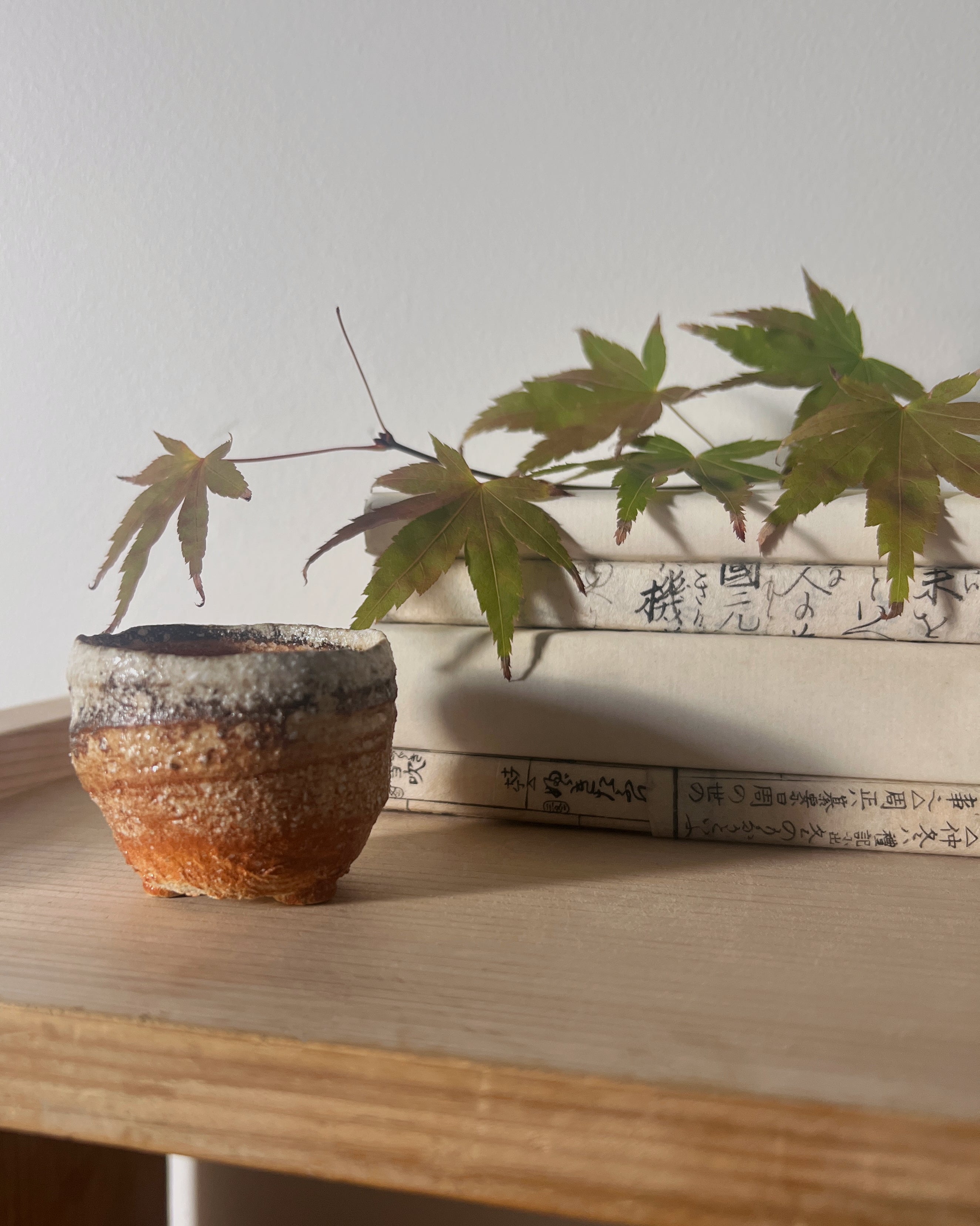 Shigaraki Ware : mini planter