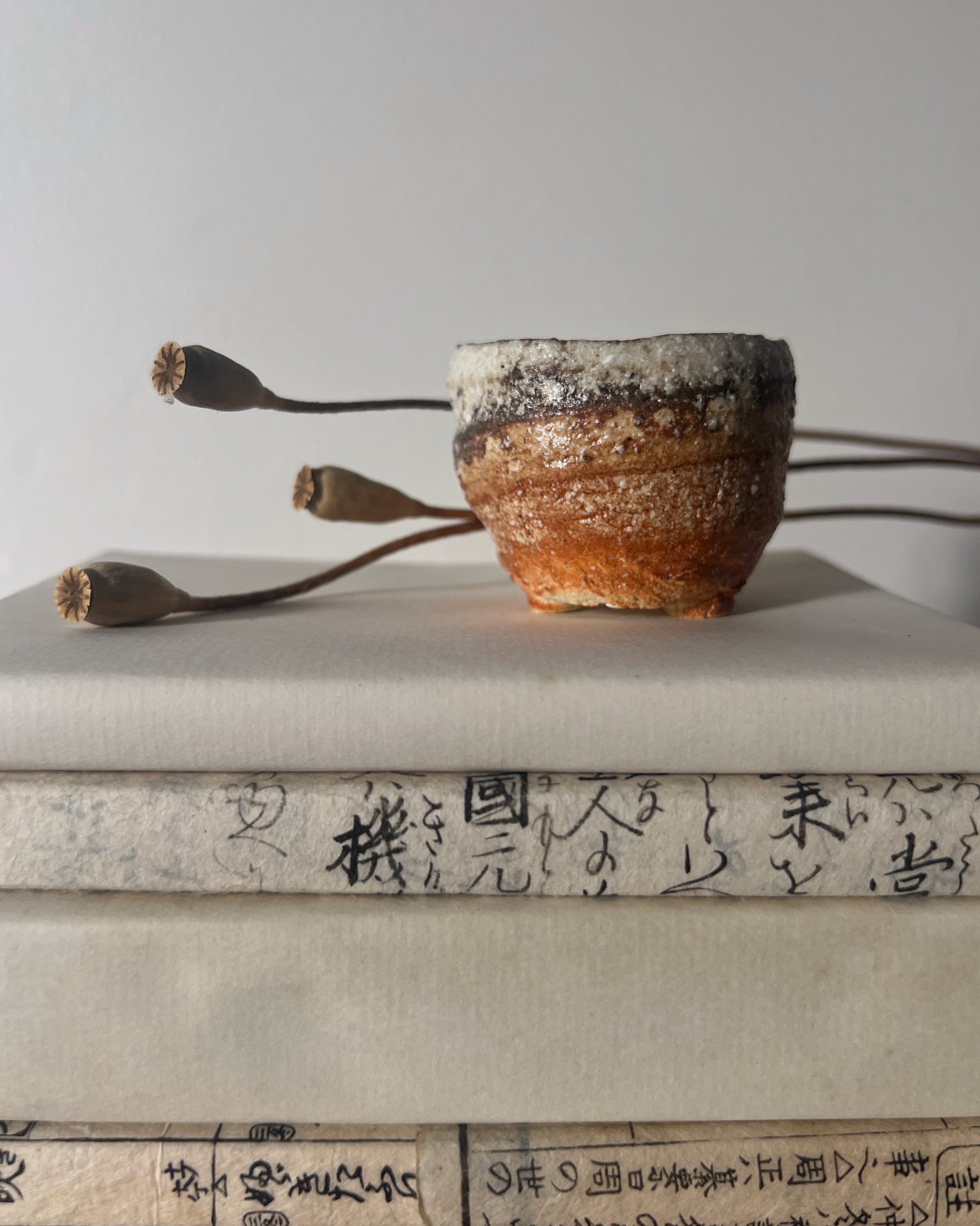 Shigaraki Ware : mini planter
