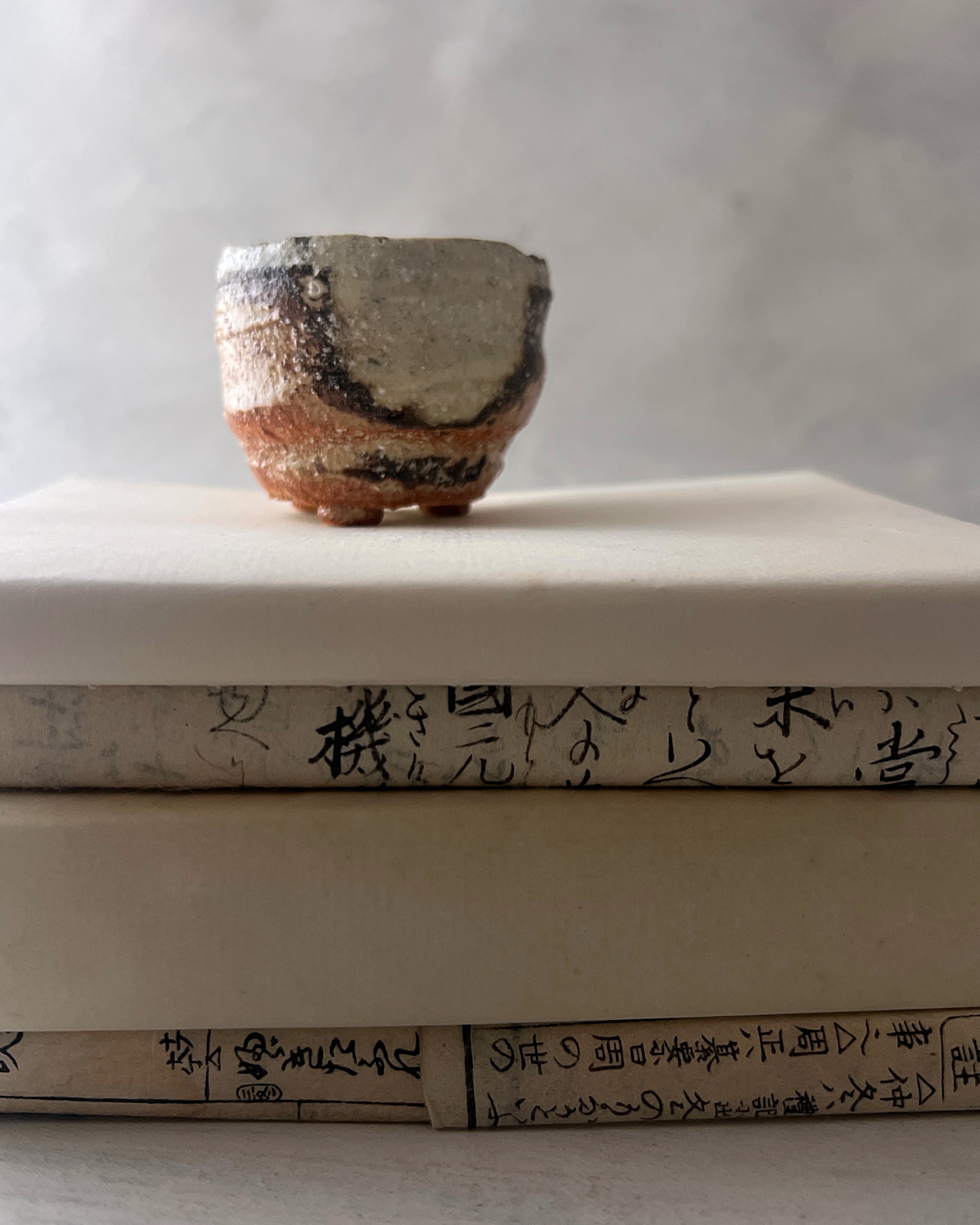 Shigaraki Ware : mini planter