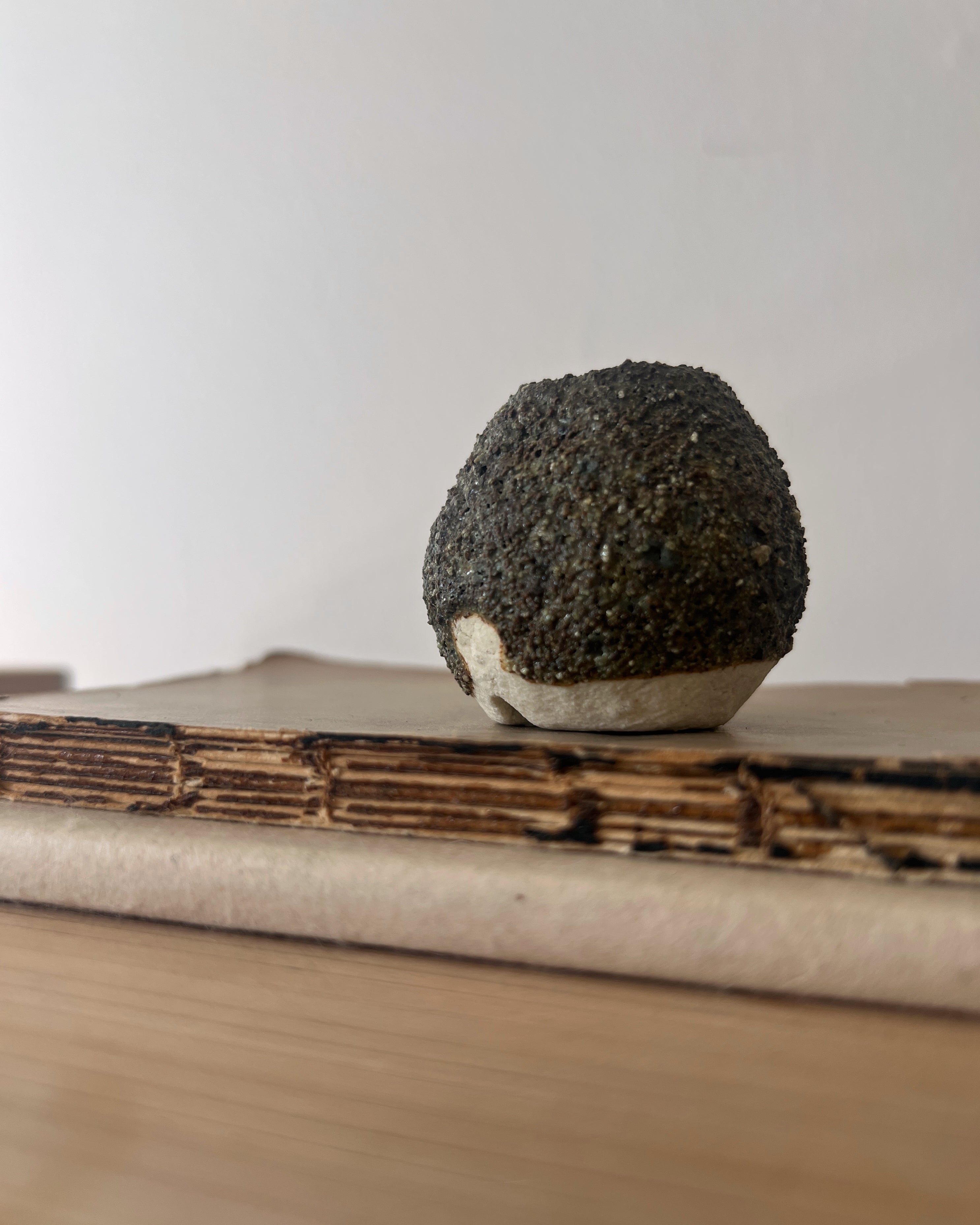 Shigaraki Ware : mini planter