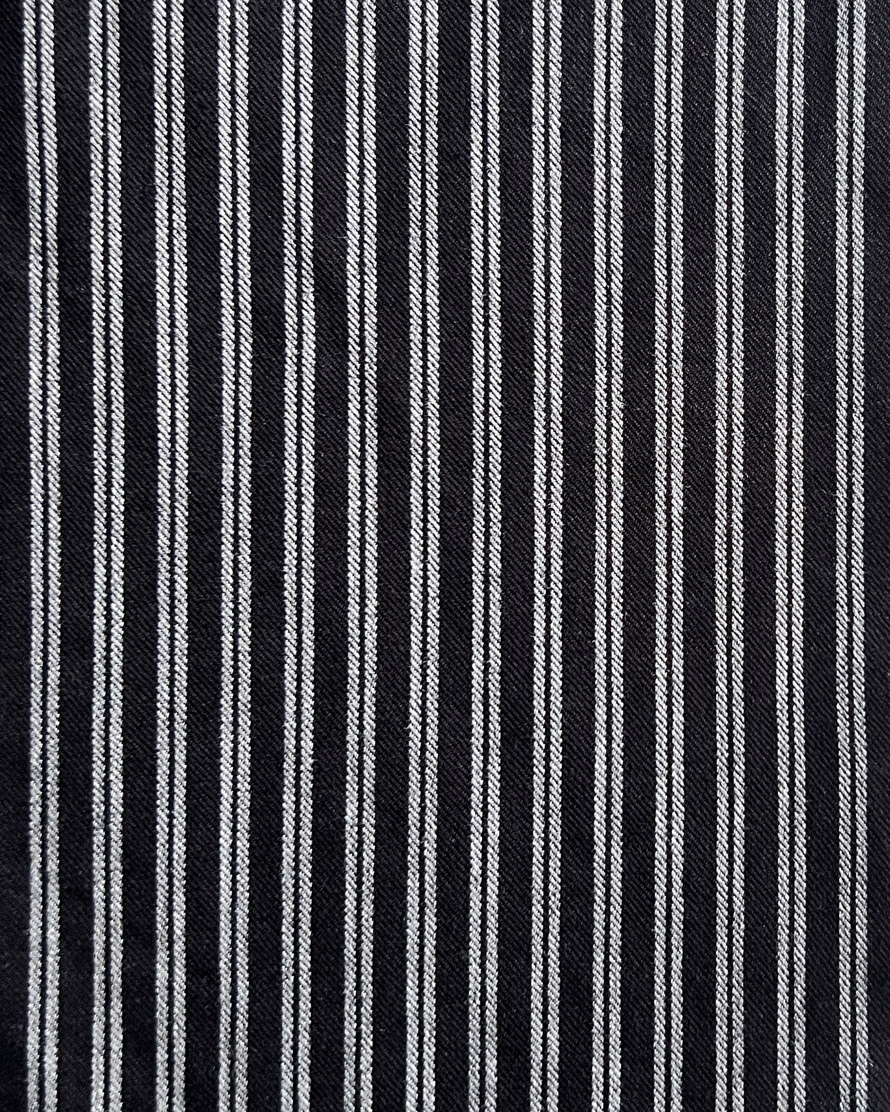 LJ struthers : carbon stripe cotton pants