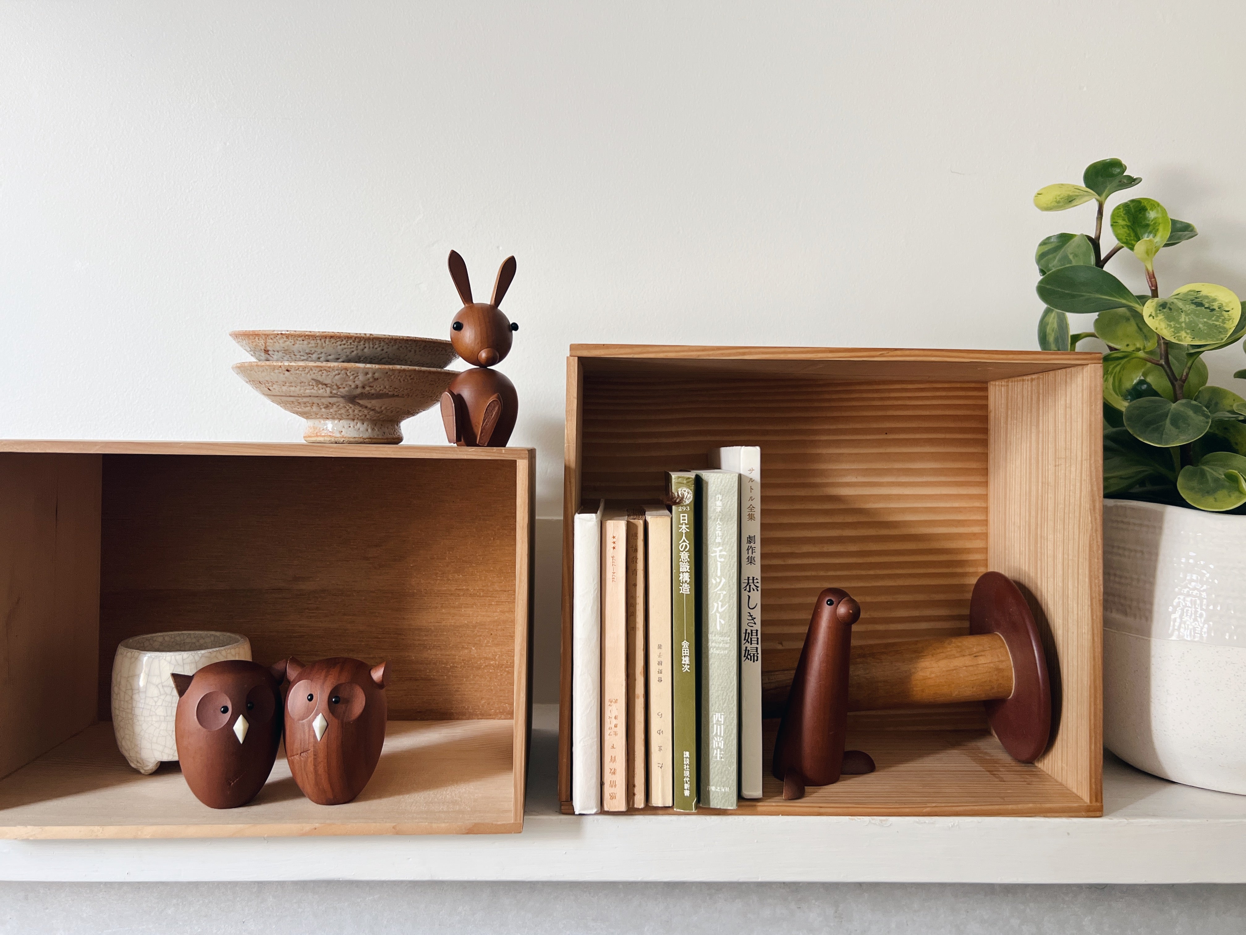 senshukai royal pet : sea lion