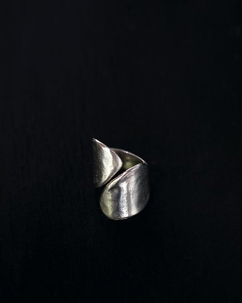 Ewa : silver curve ring