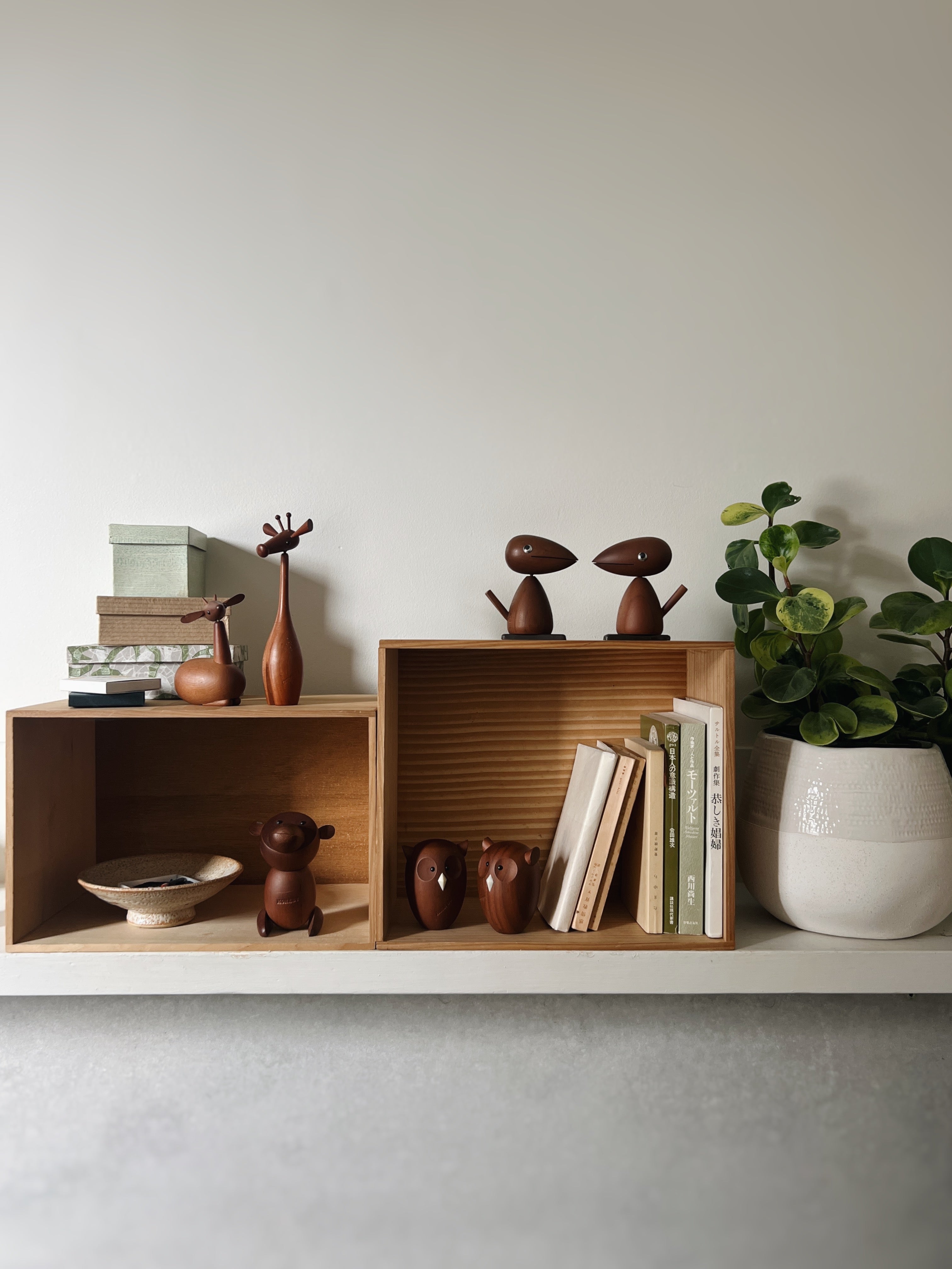 senshukai royal pet : condor