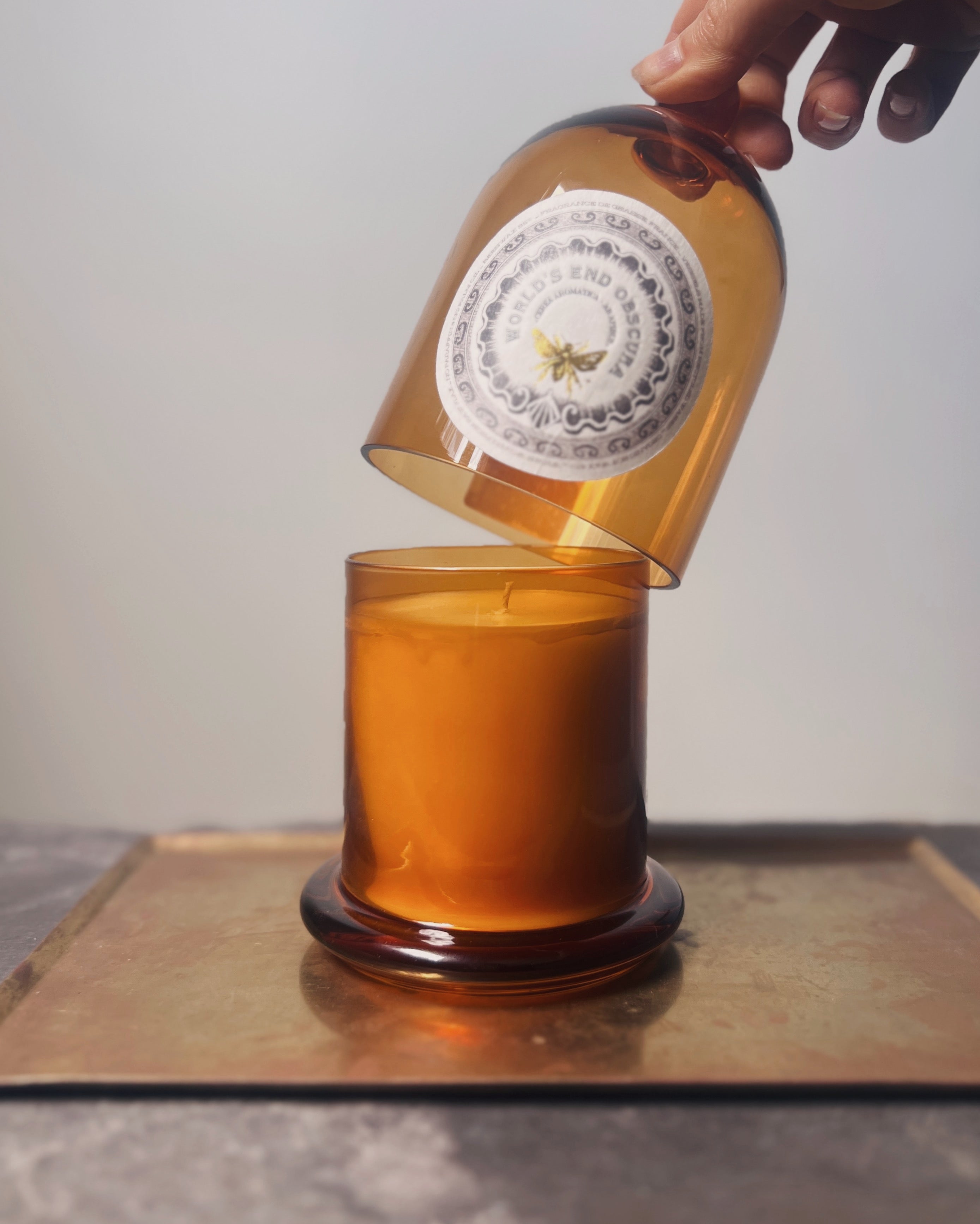 world's end obscura : no.43 ficus carica candle