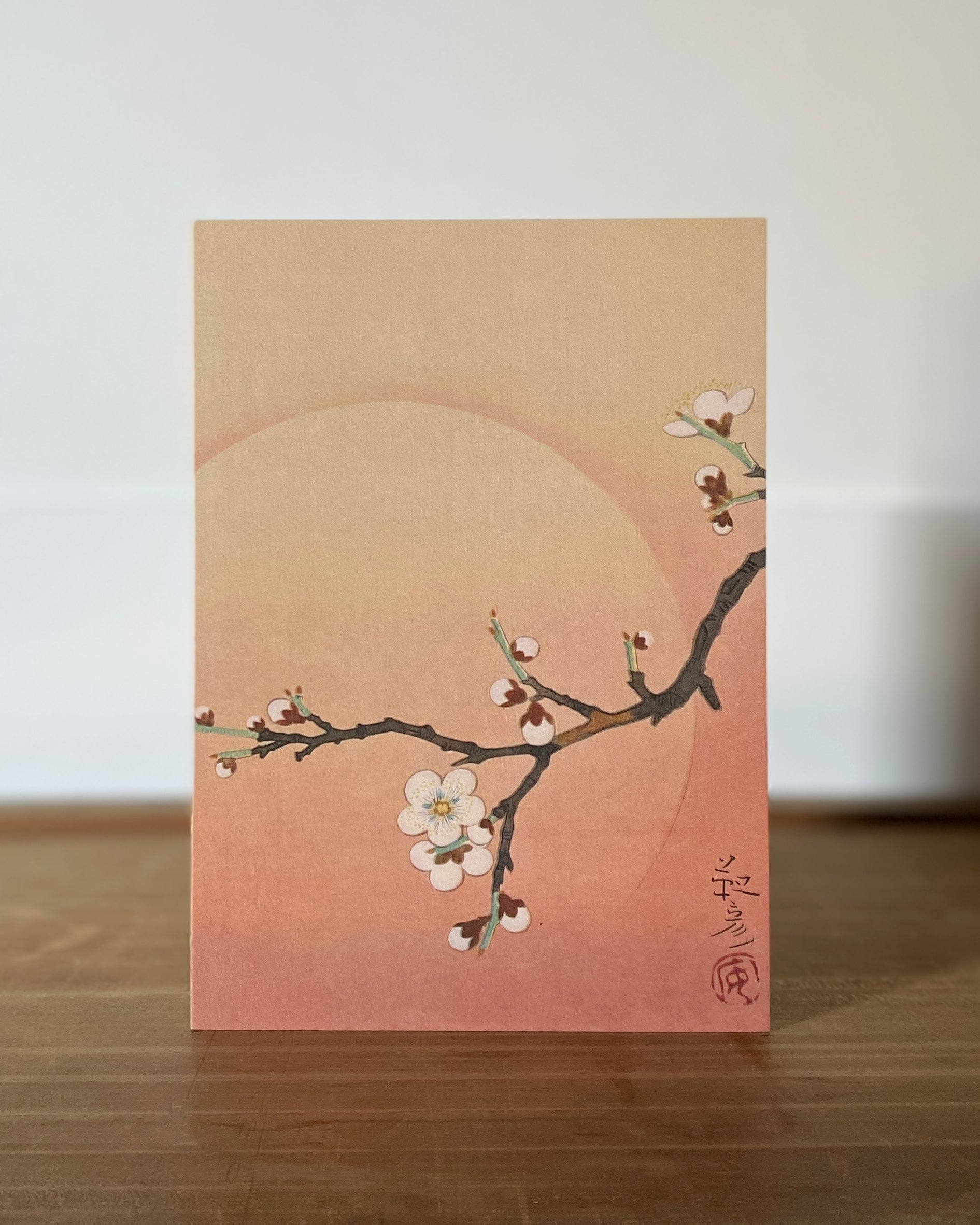 kiku print : greeting card - apricot blossom