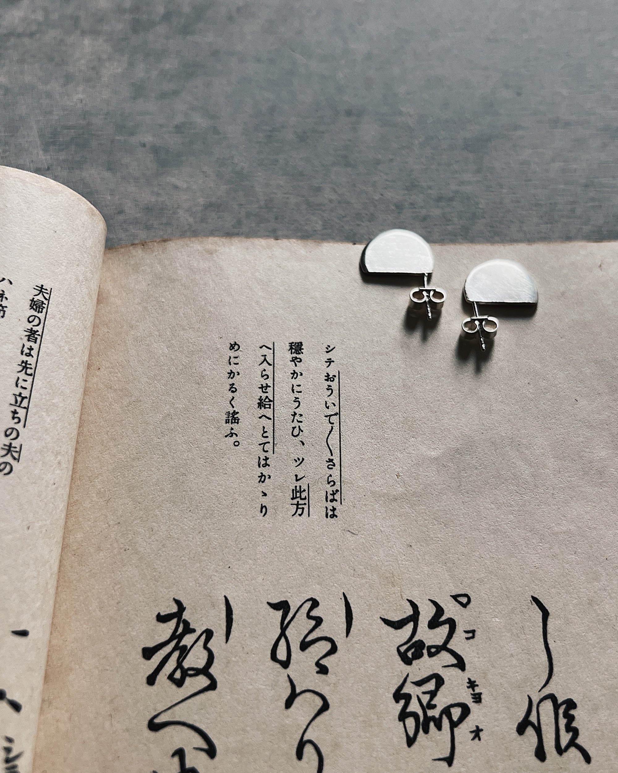 steamylab : half moon earrings