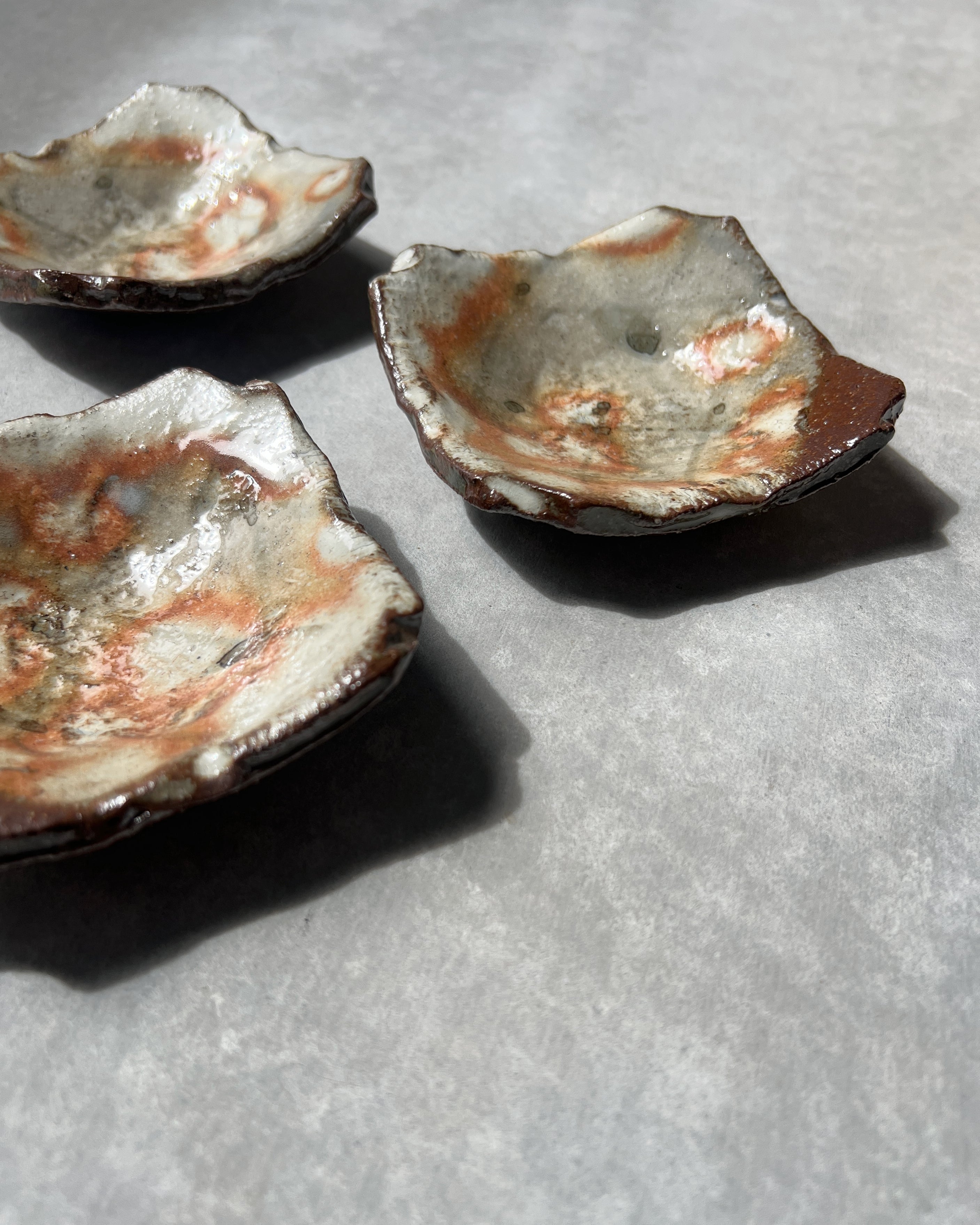 Shigaraki Ware : ceramic plate