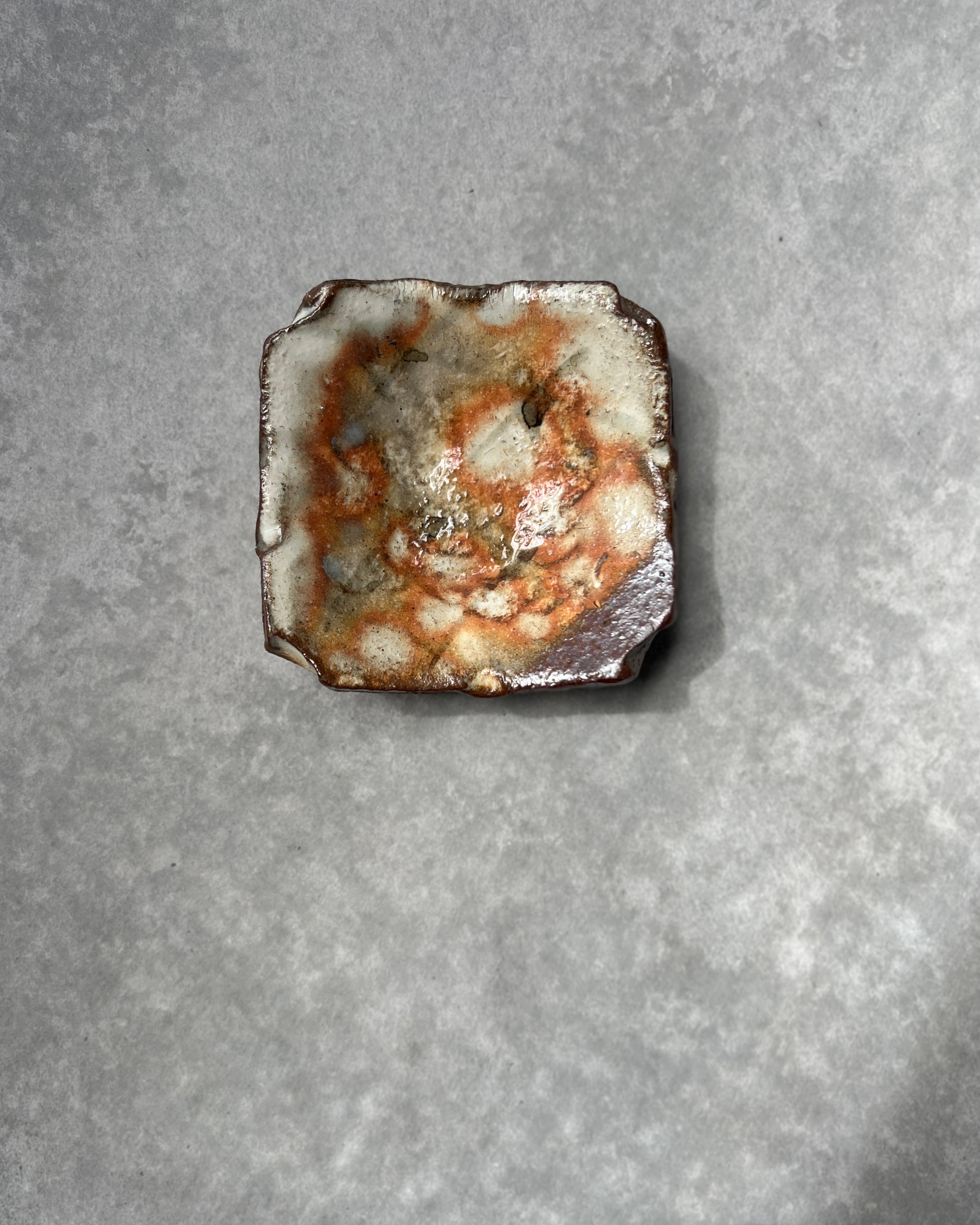 Shigaraki Ware : ceramic plate