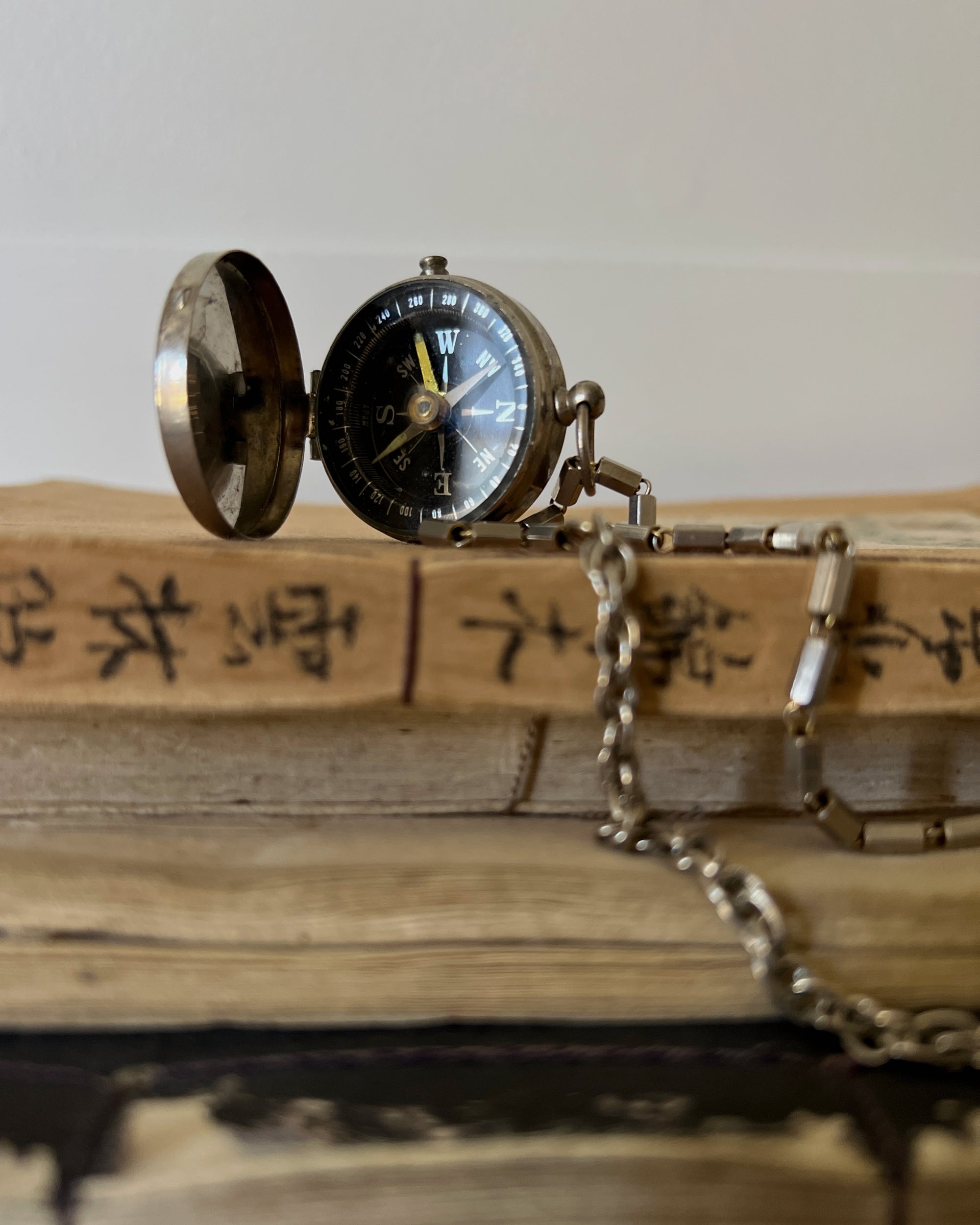 modern marcel : vintage compass necklace