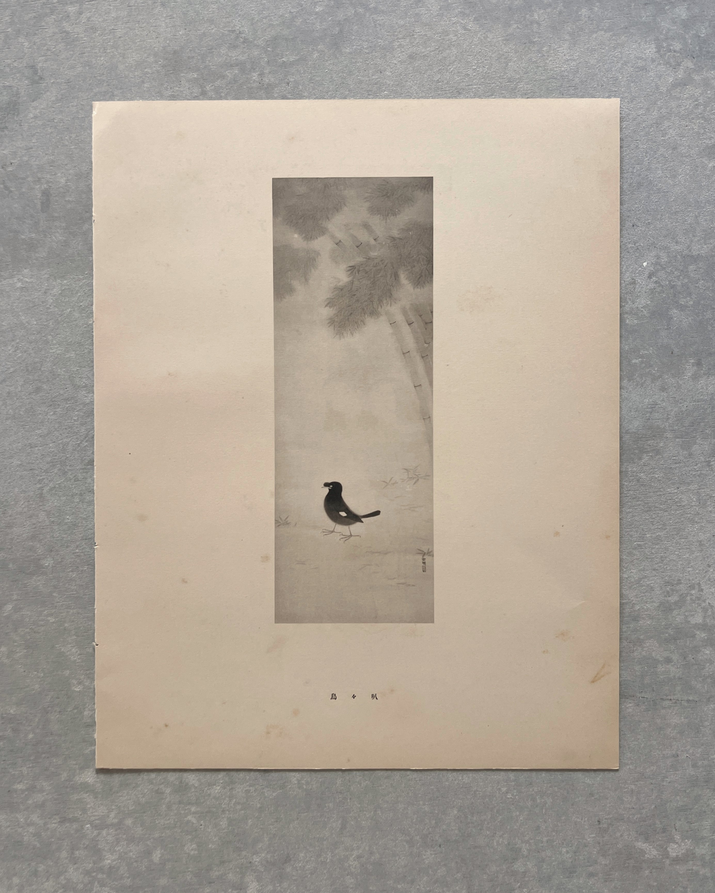 vintage japanese monochrome print : birdwatching / autumn village