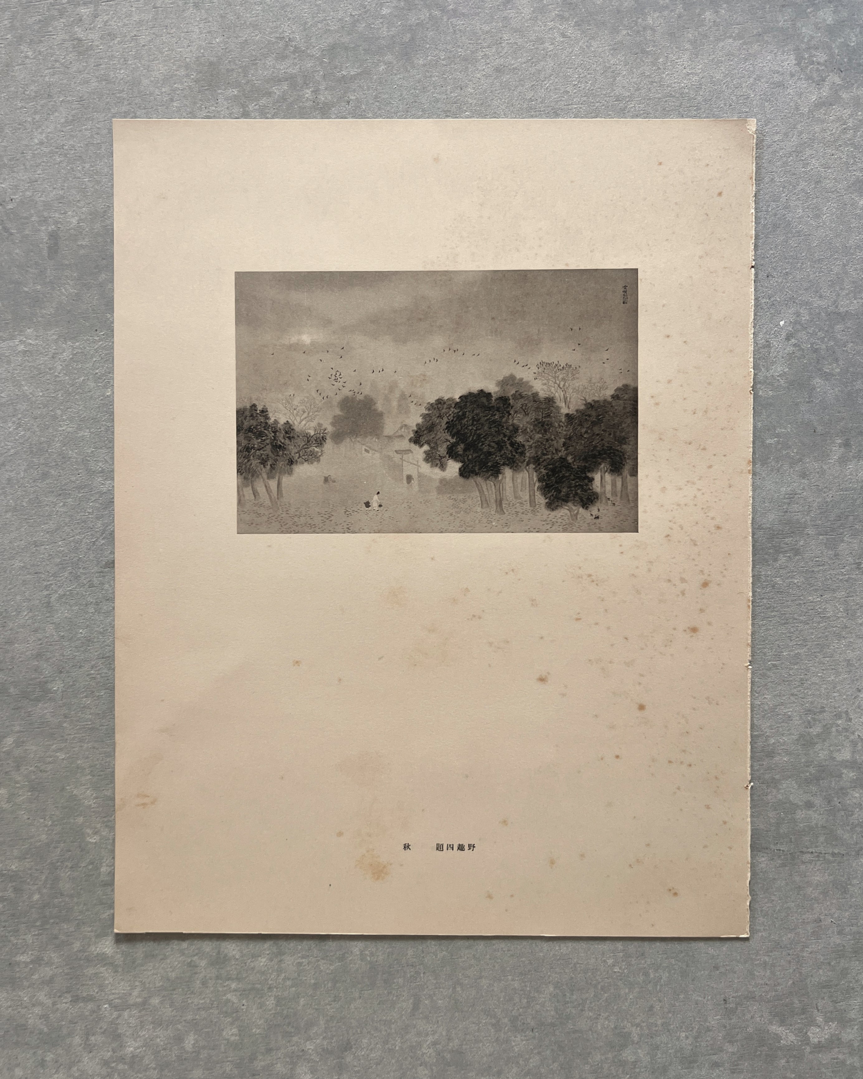 vintage japanese monochrome print : birdwatching / autumn village