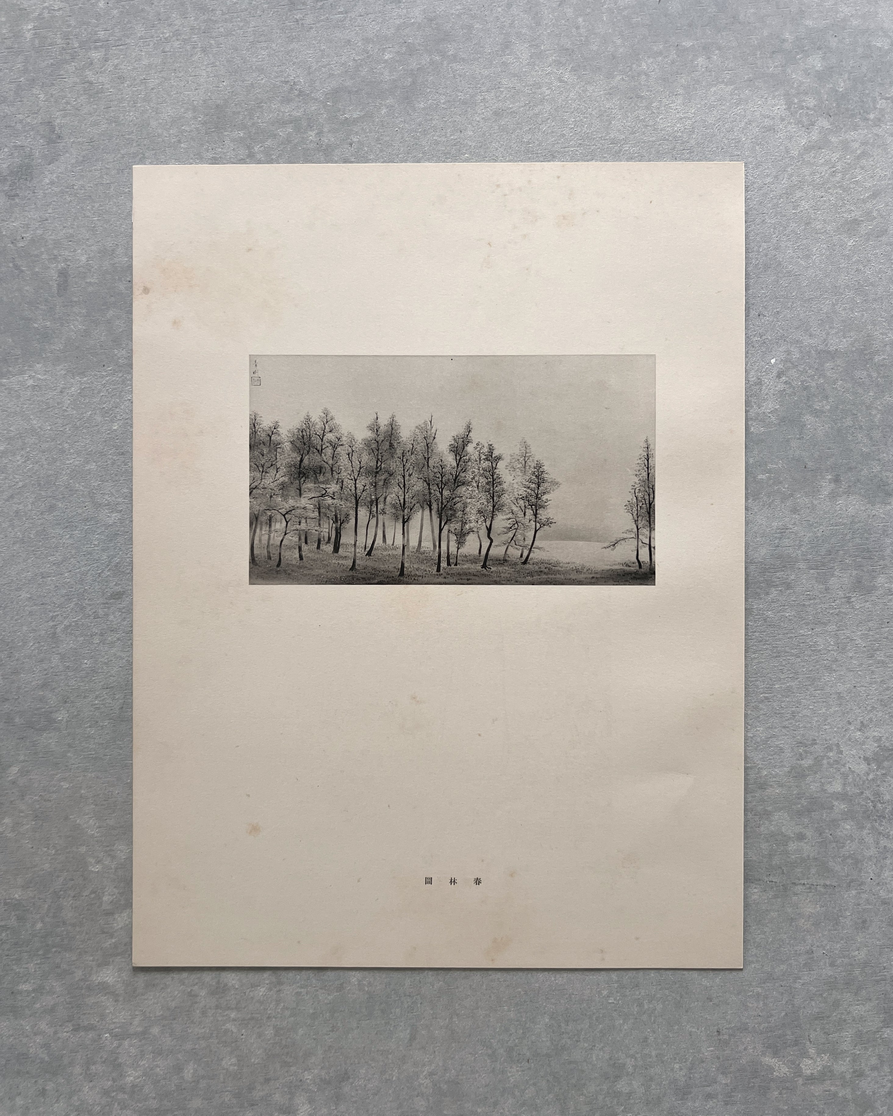 vintage japanese monochrome print : forest / palm tree