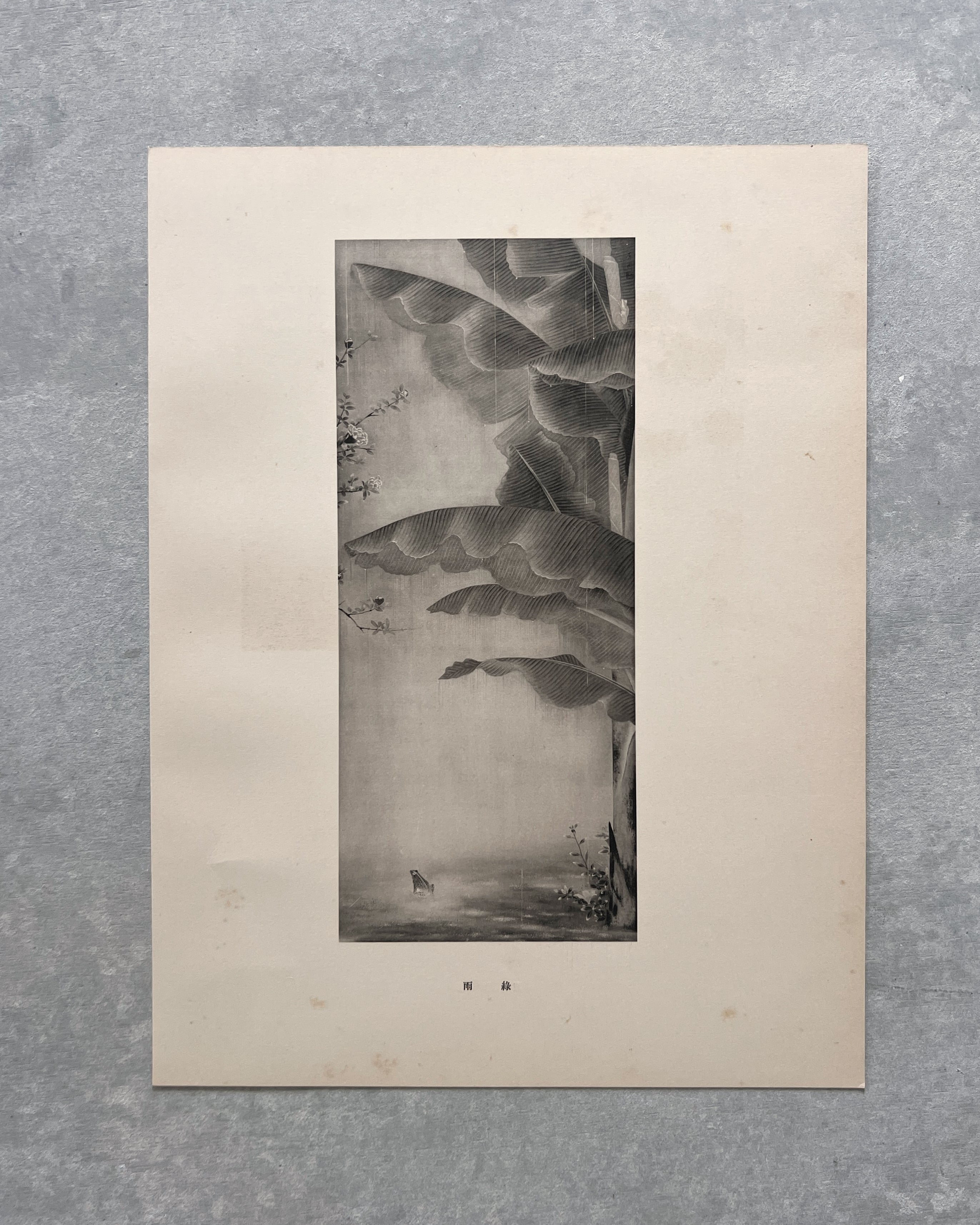 vintage japanese monochrome print : forest / palm tree
