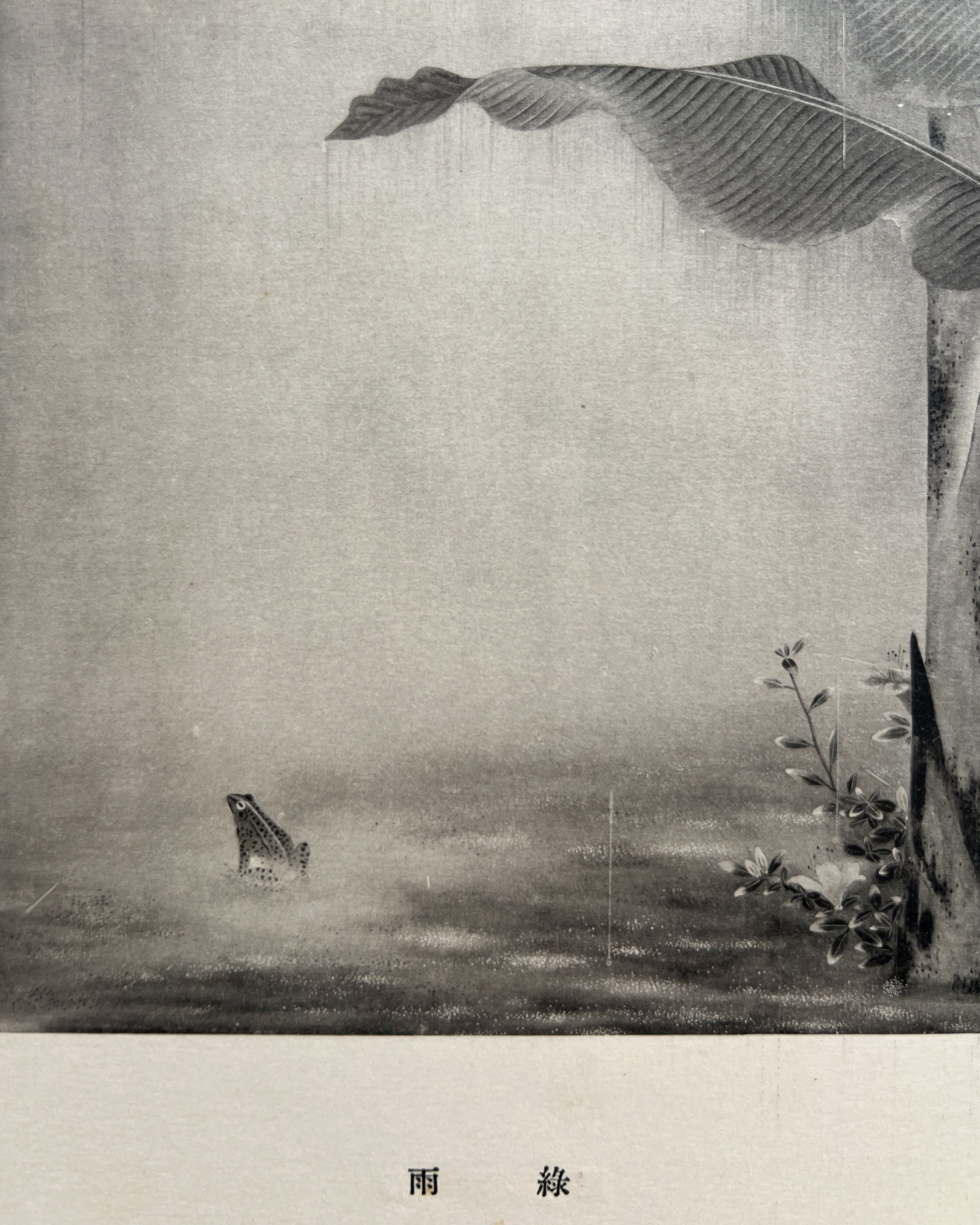 vintage japanese monochrome print : forest / palm tree