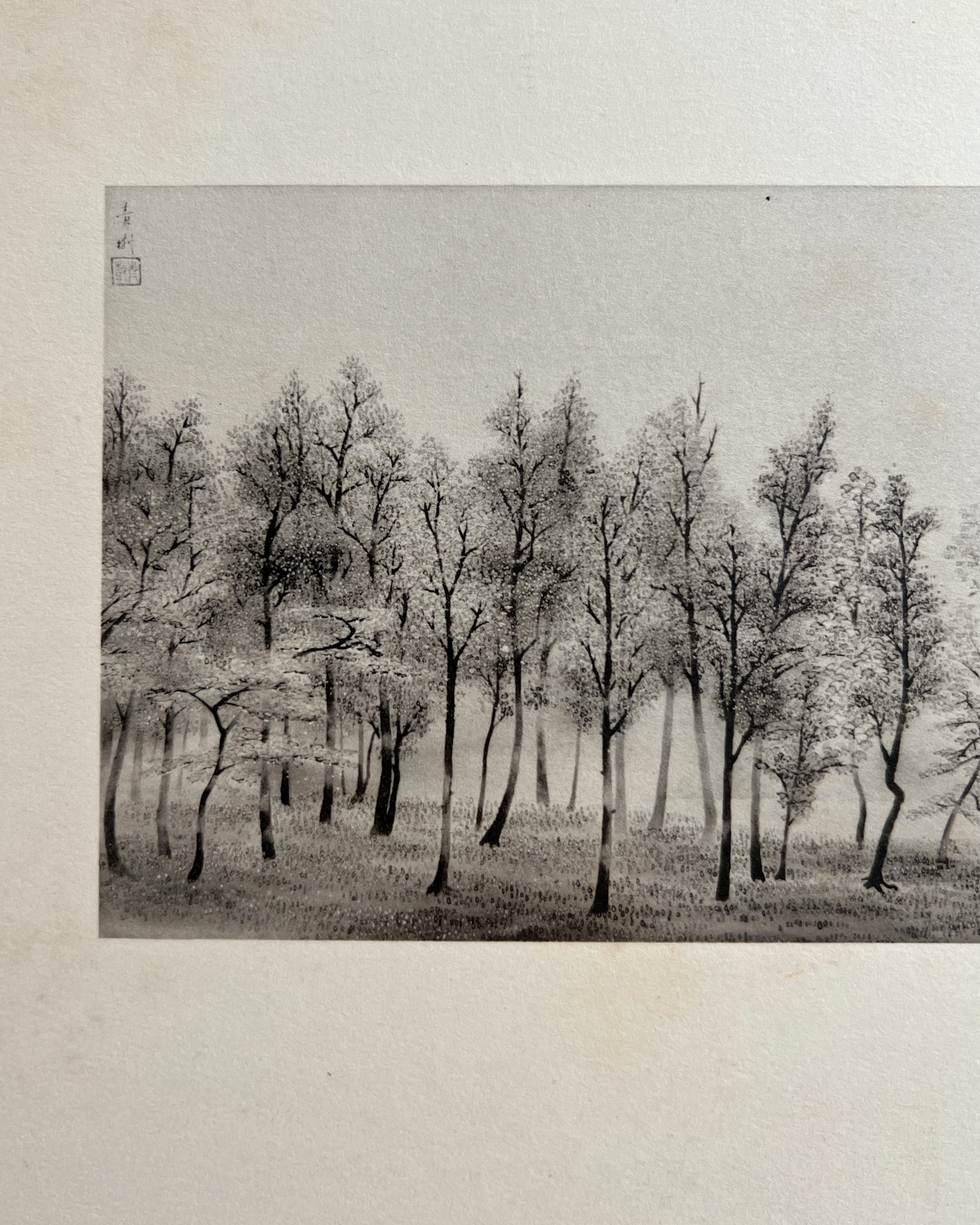 vintage japanese monochrome print : forest / palm tree