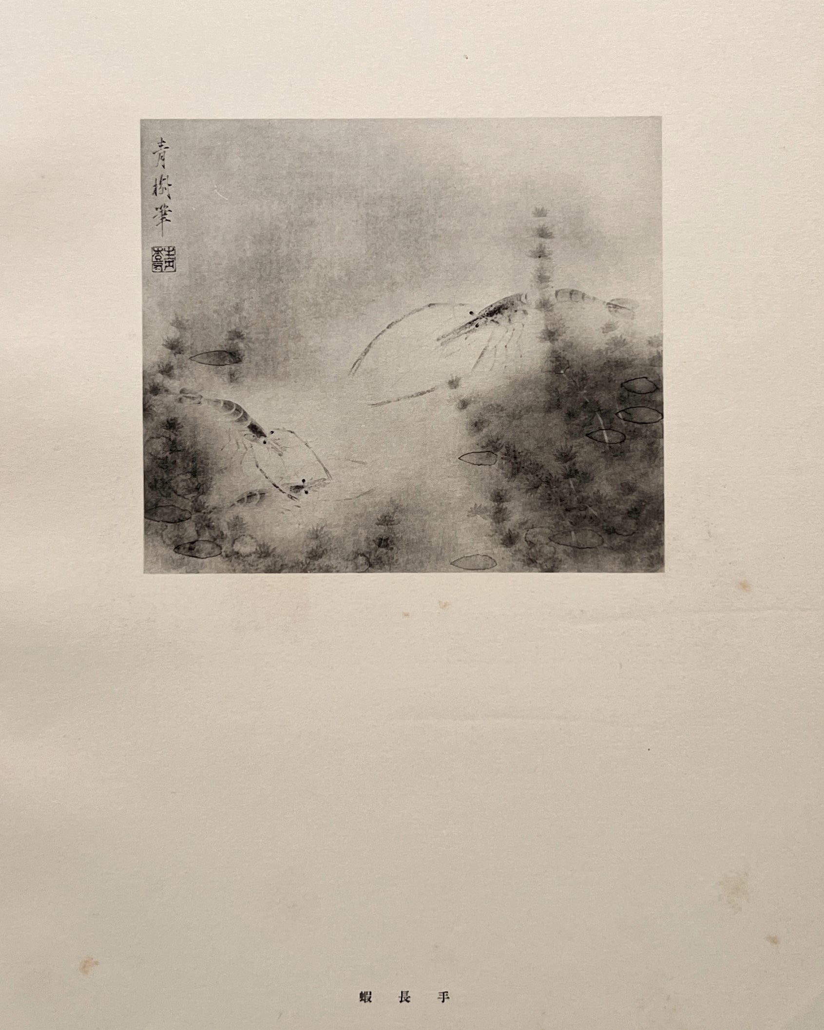 vintage japanese monochrome print : shrimp / along the road