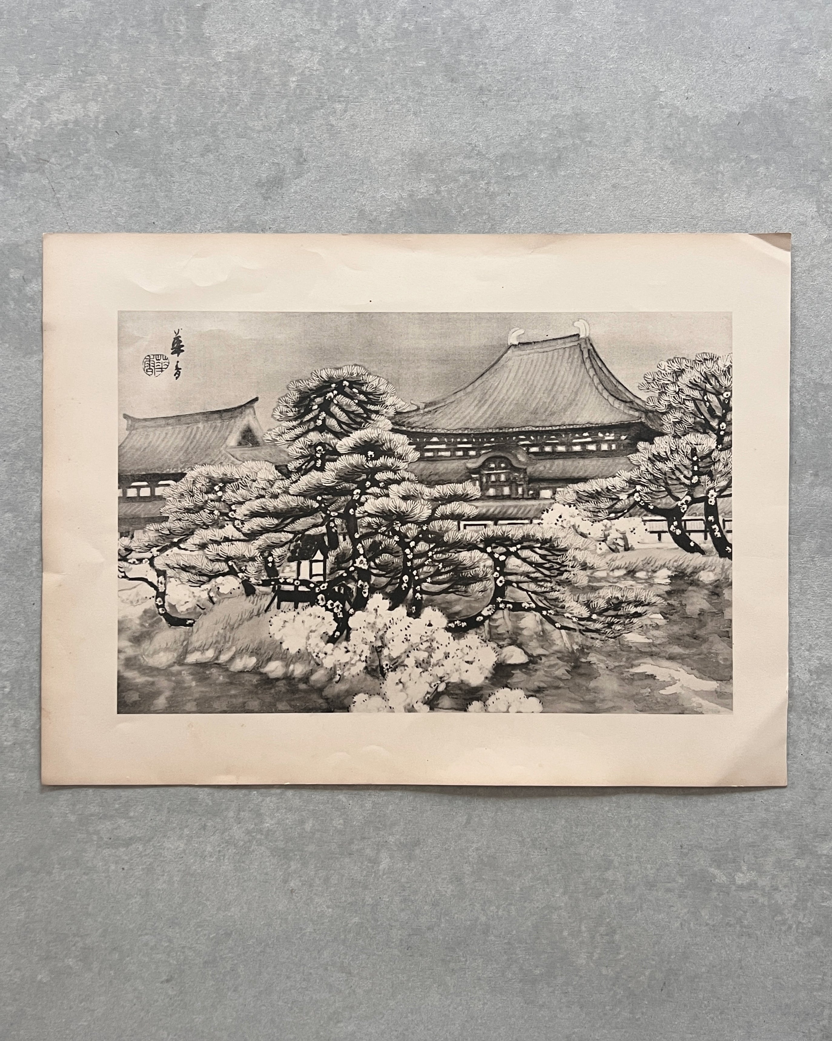 vintage japanese monochrome print : cloud pruning