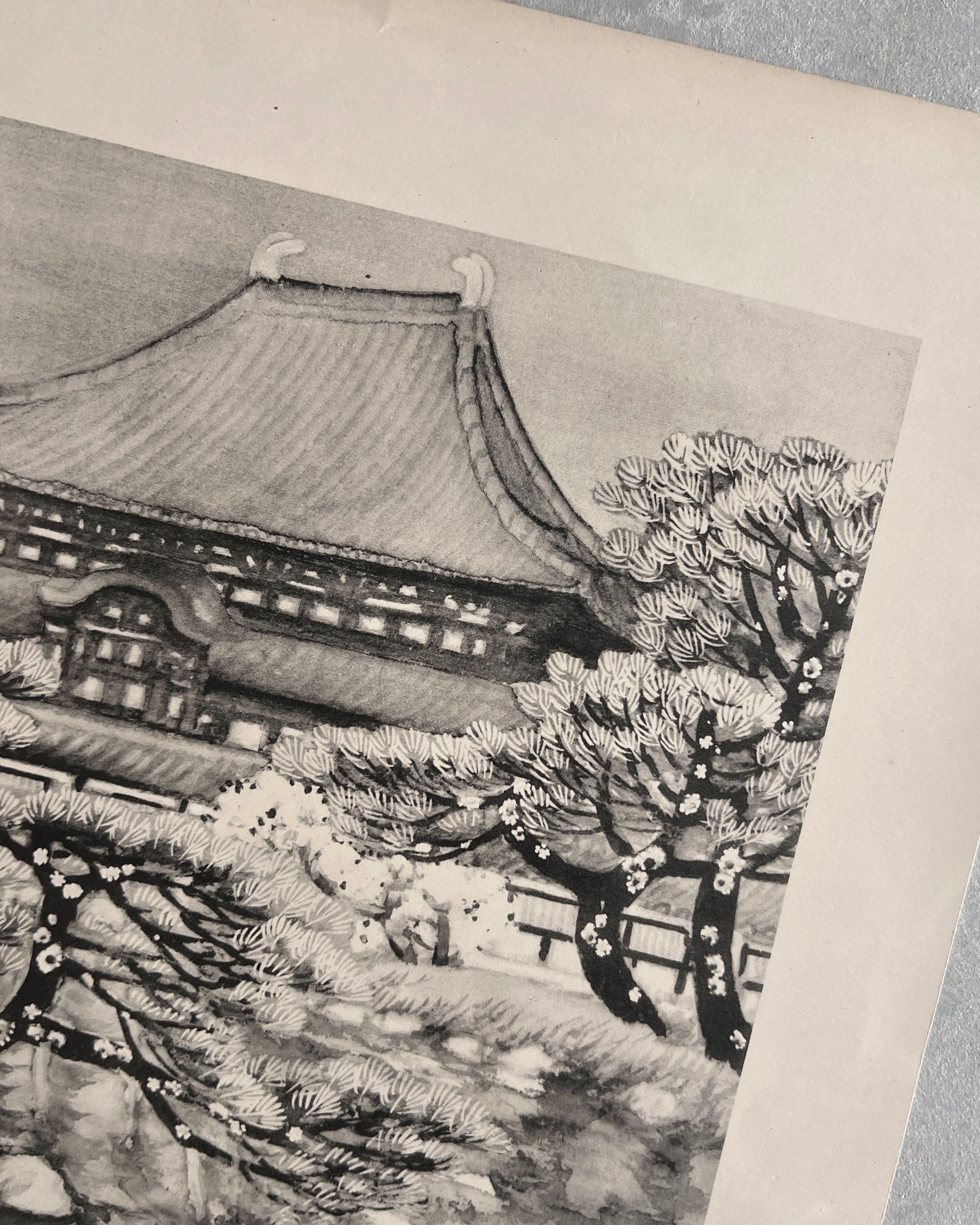 vintage japanese monochrome print : cloud pruning