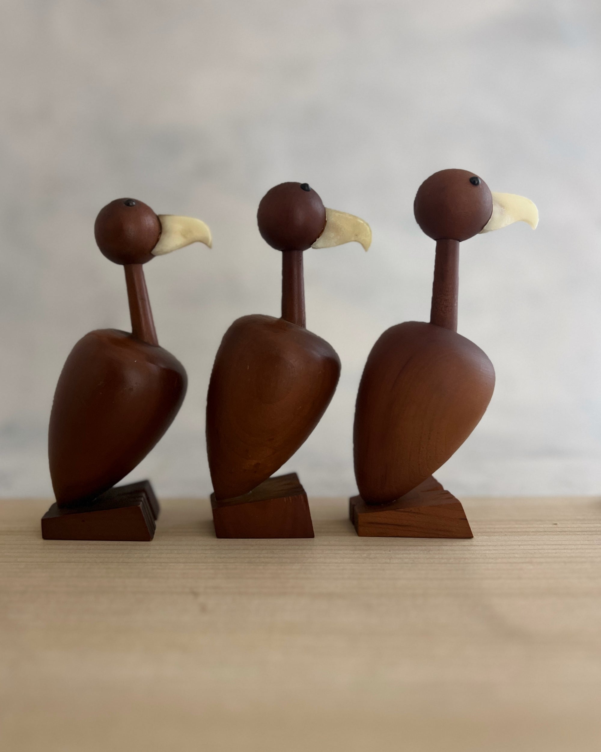 senshukai royal pet : condor