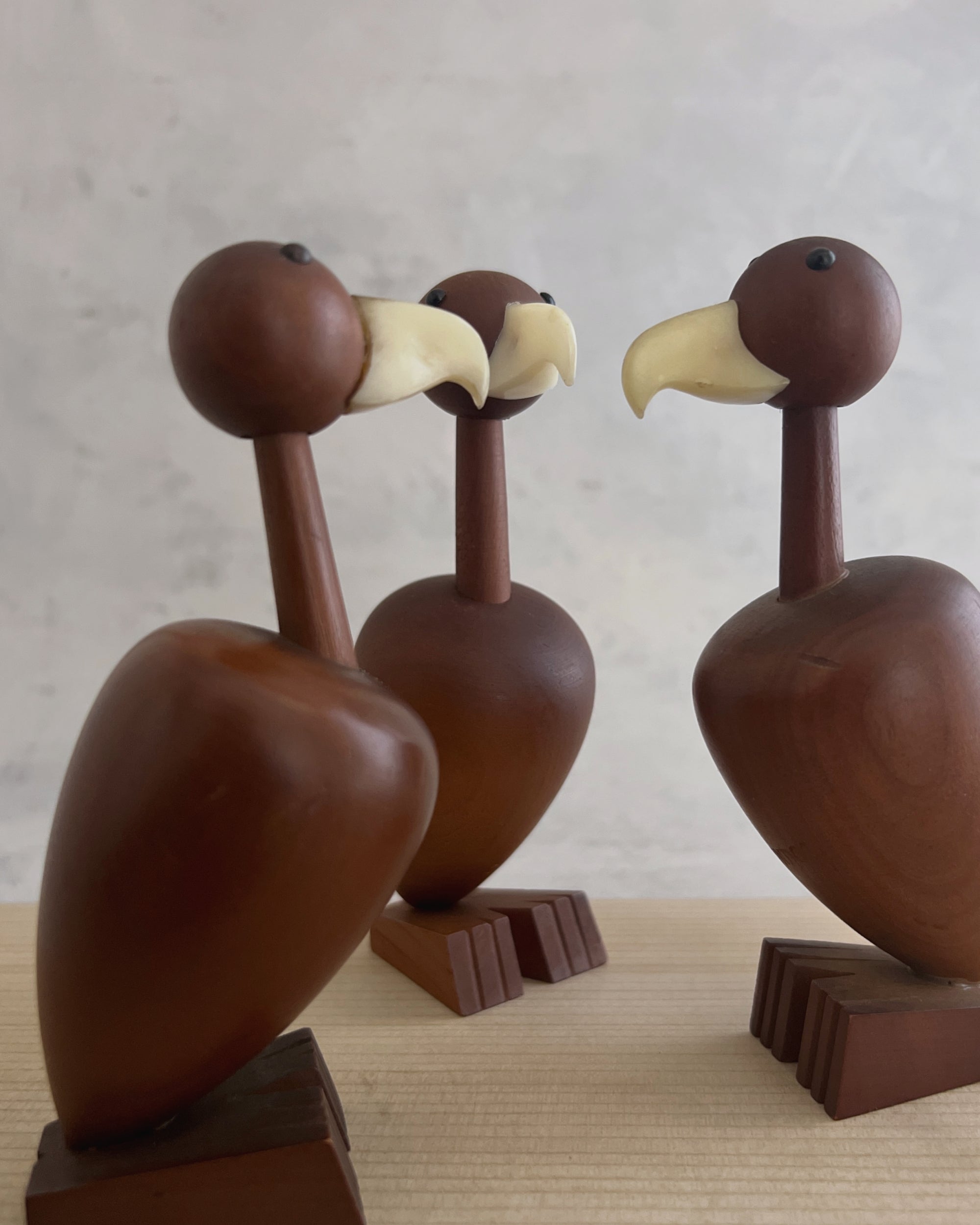 senshukai royal pet : condor