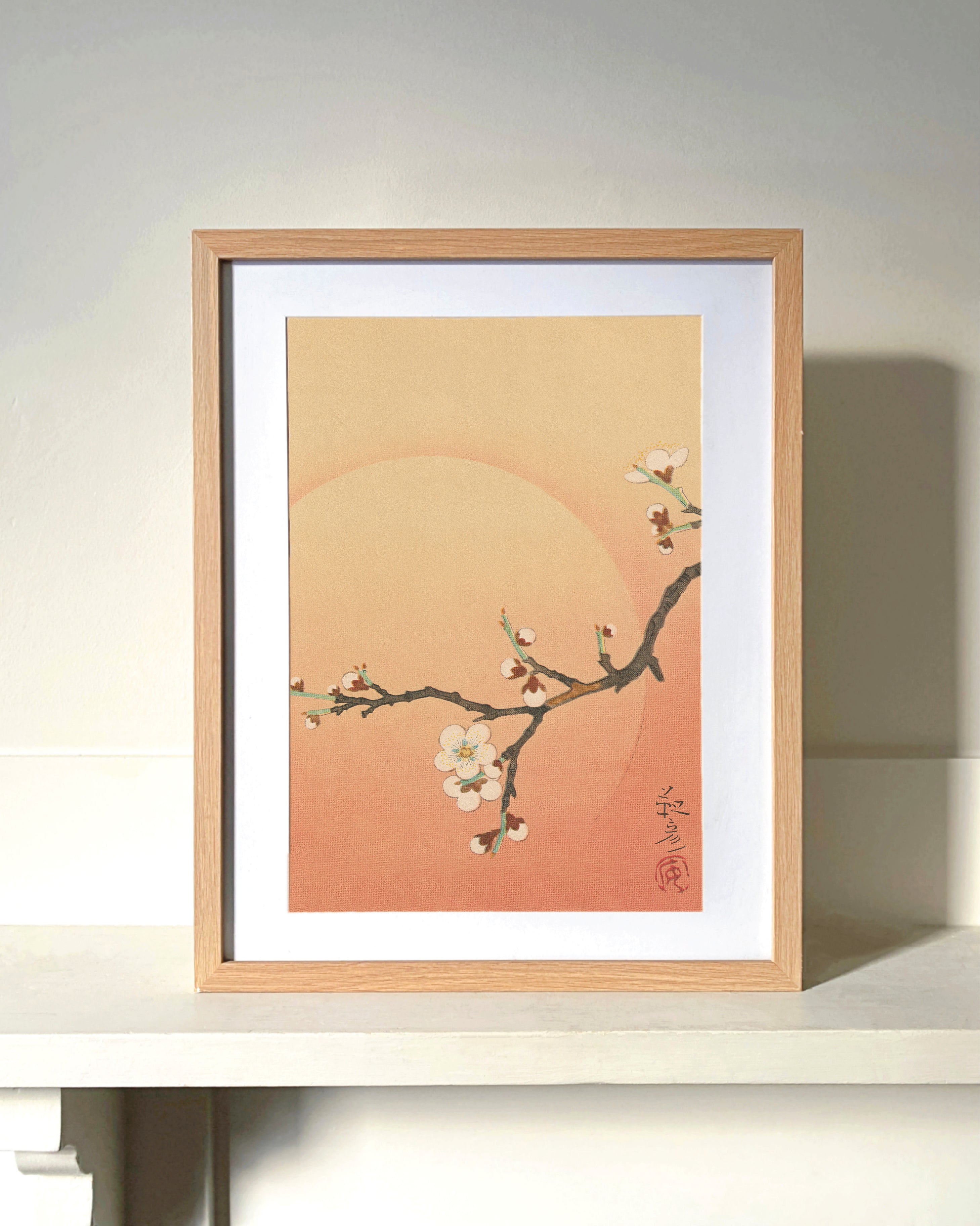 kiku print / A3 print : apricot blossom