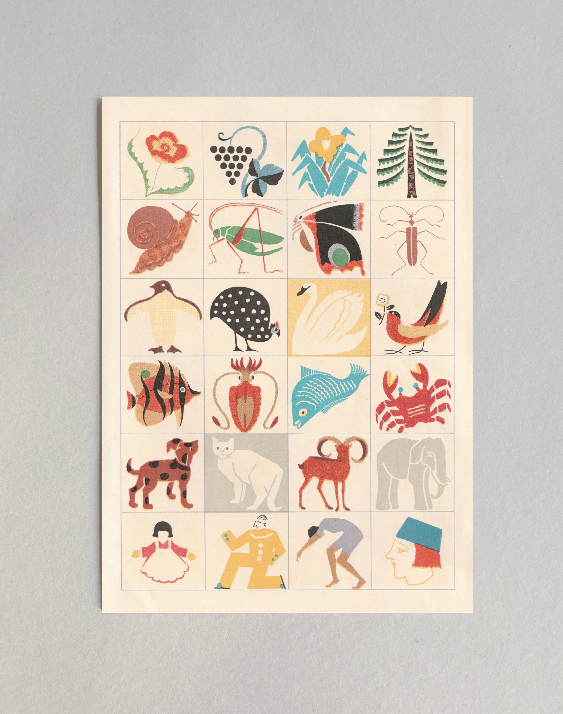 kiku print / postcard : pictograph- animal kingdom