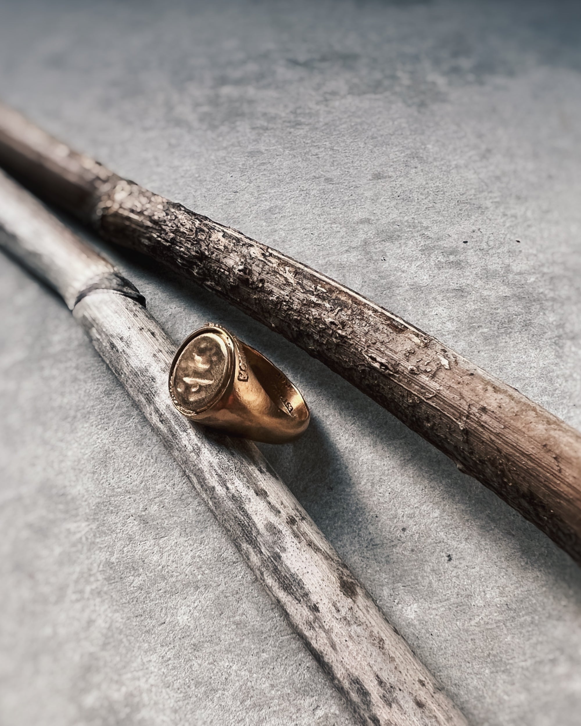 montestruque : the one in bronze