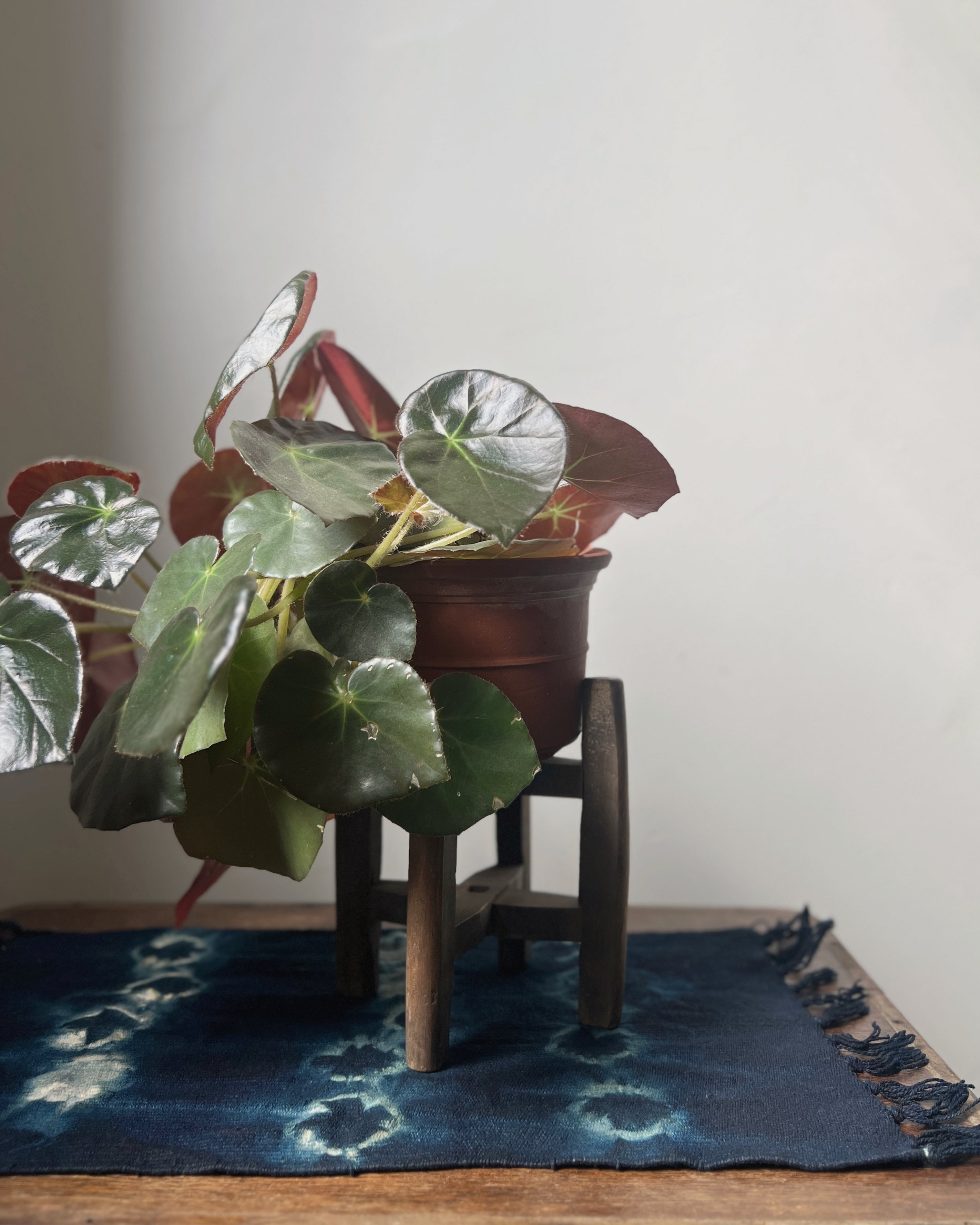 hand dyed indigo cloth