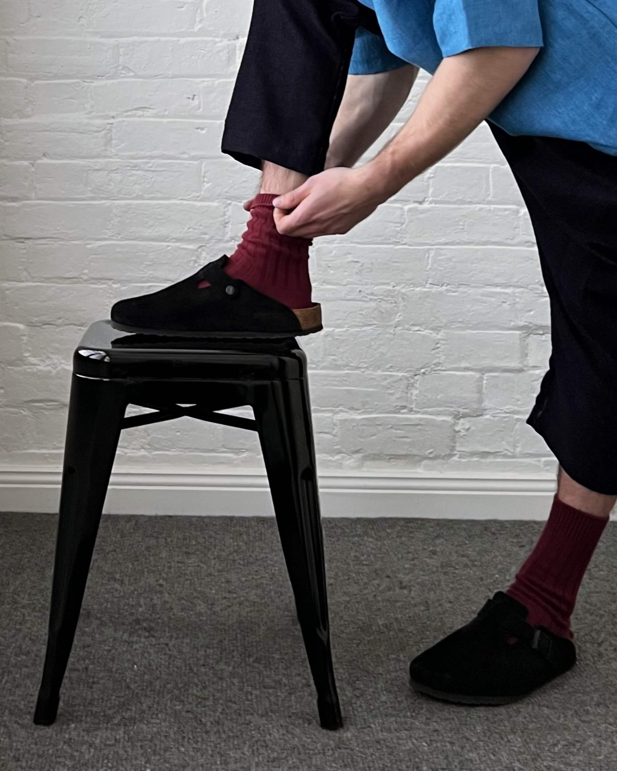 nishiguchi kutsushita : praha egyptian cotton ribbed socks