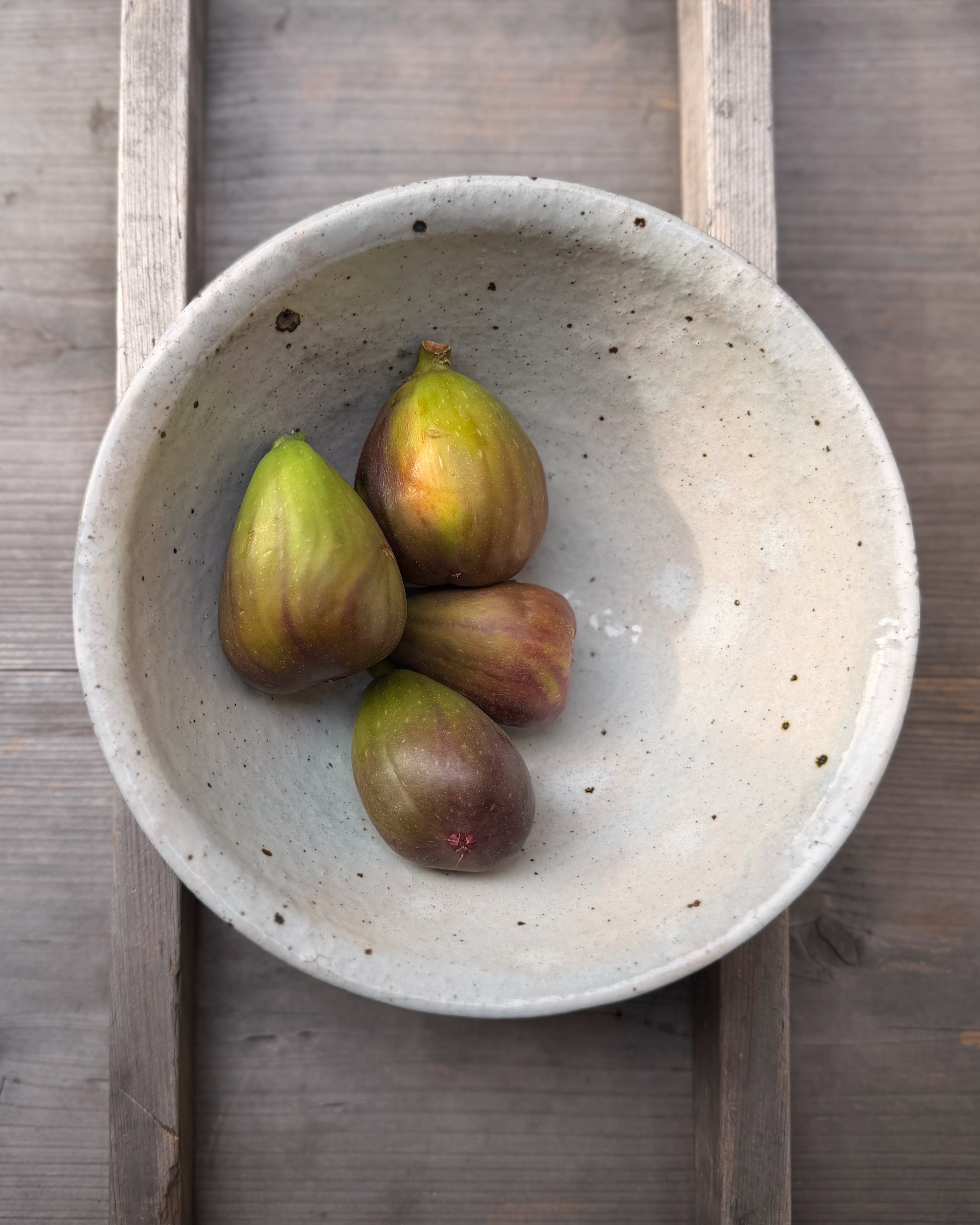 rokuro : ceramic noodle bowl