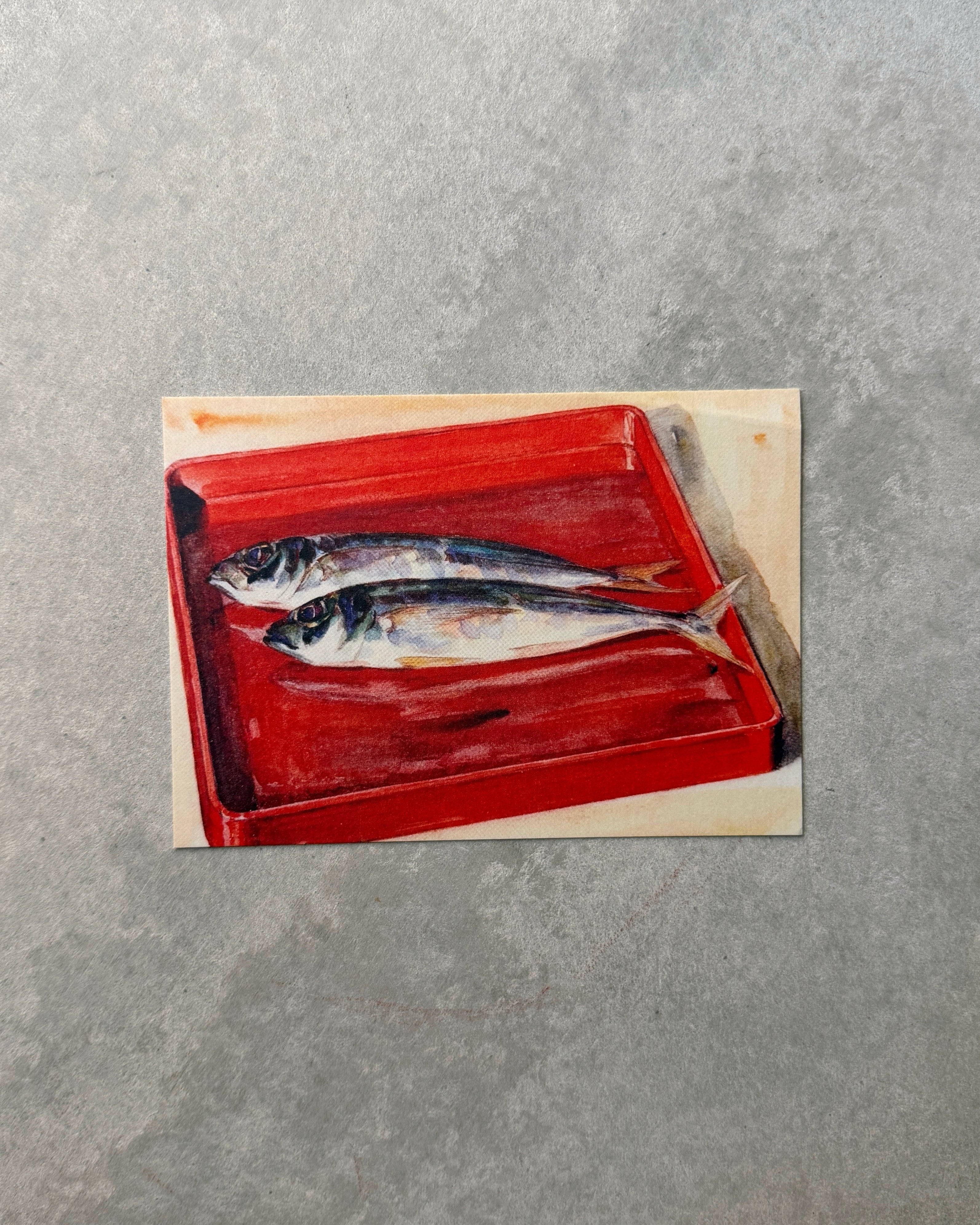 kiku print : postcard - saba