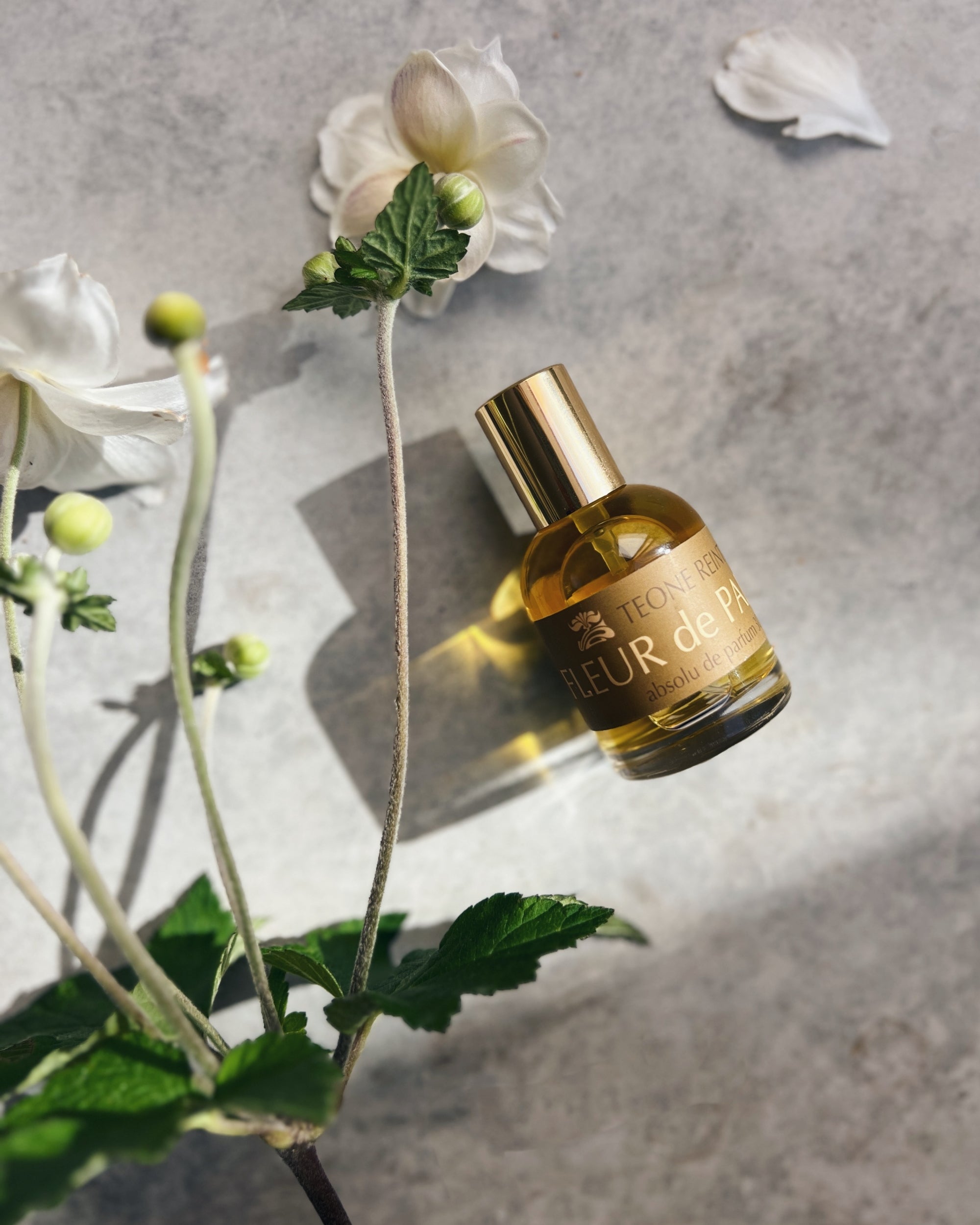 Teone Reinthal perfume : fleur de paradis