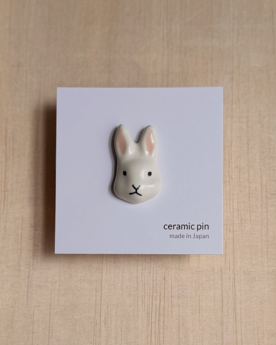 ceramic pin