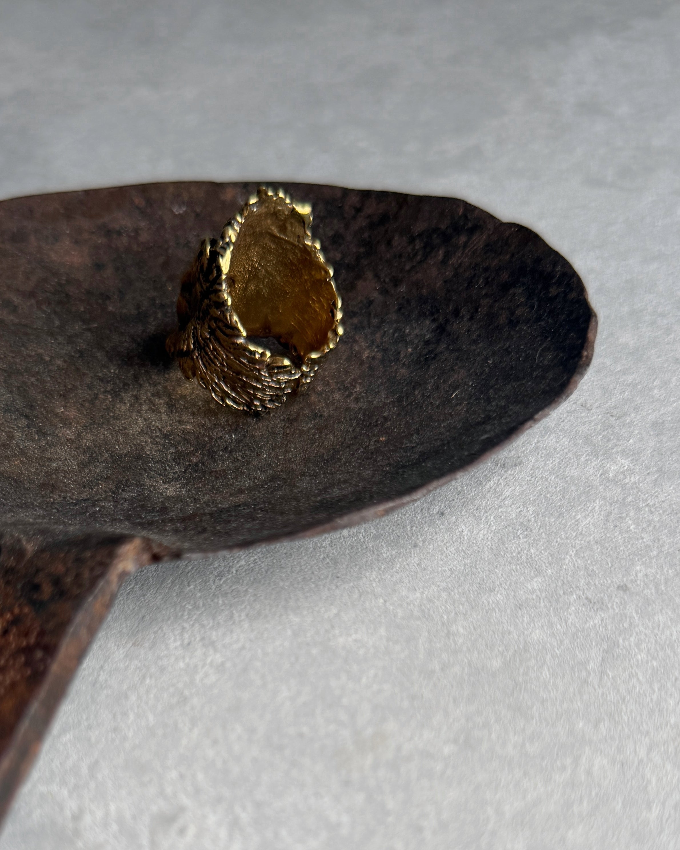 elassaad : lion head ring brass