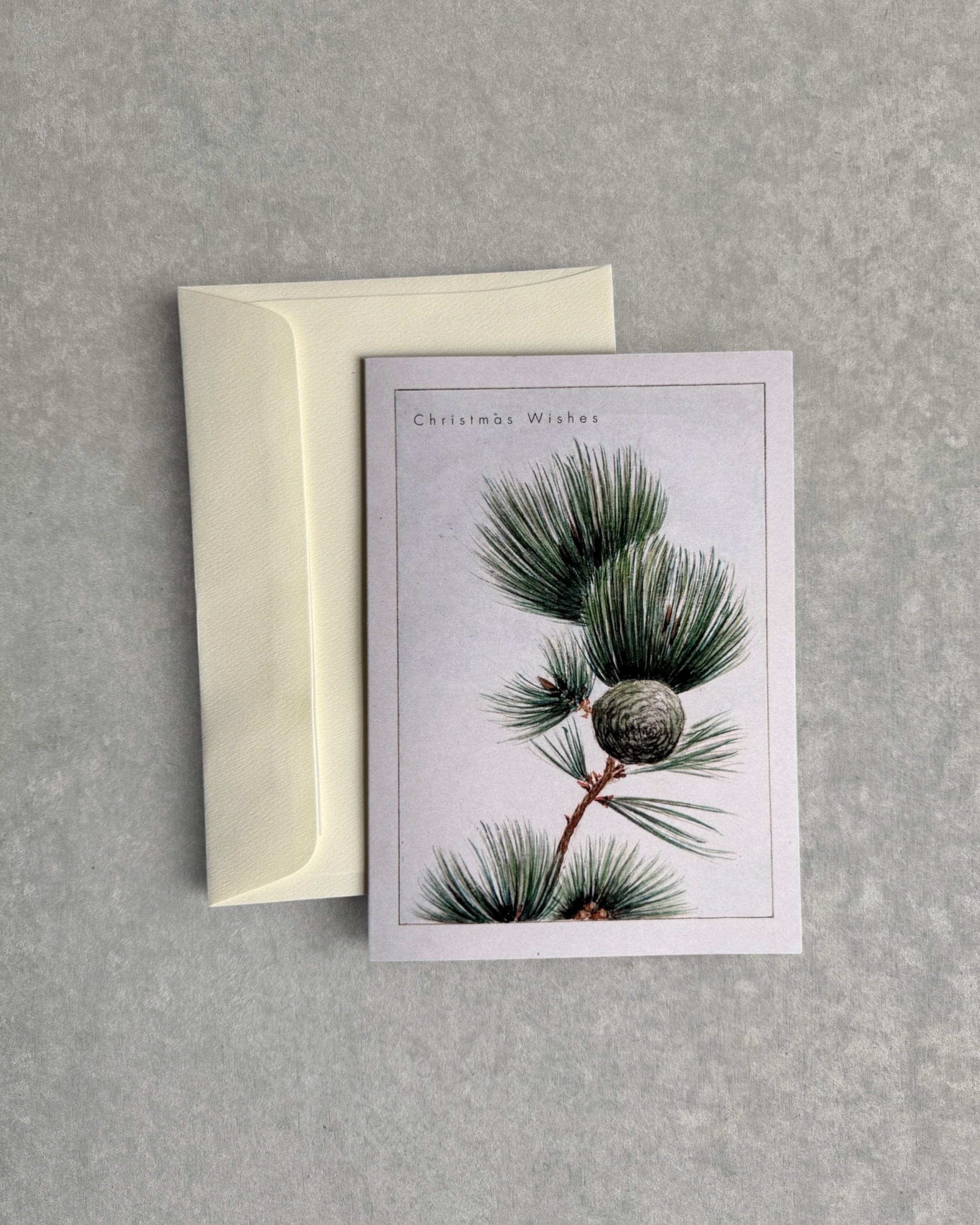 kiku print : christmas card - pine sprig