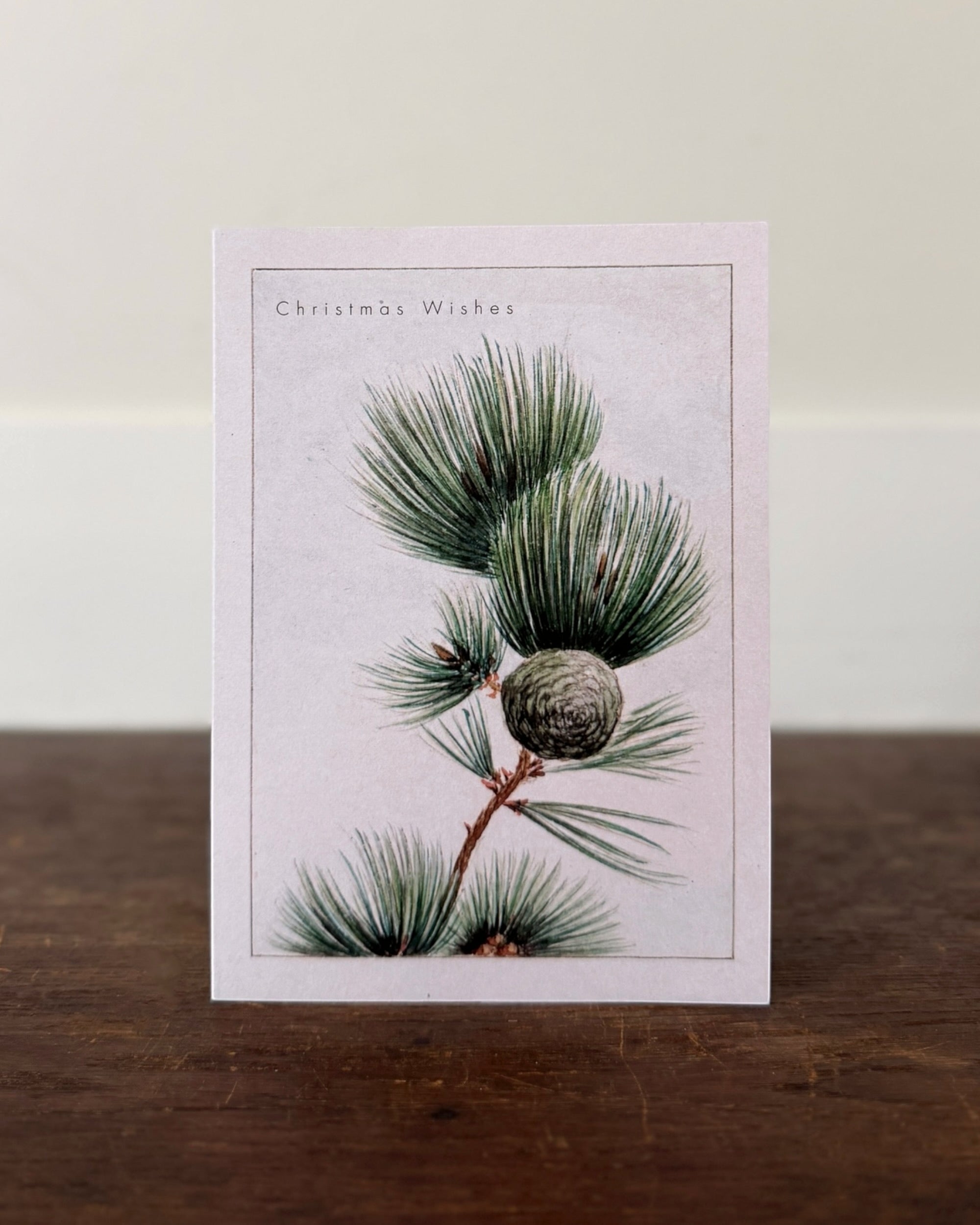 kiku print : christmas card - pine sprig