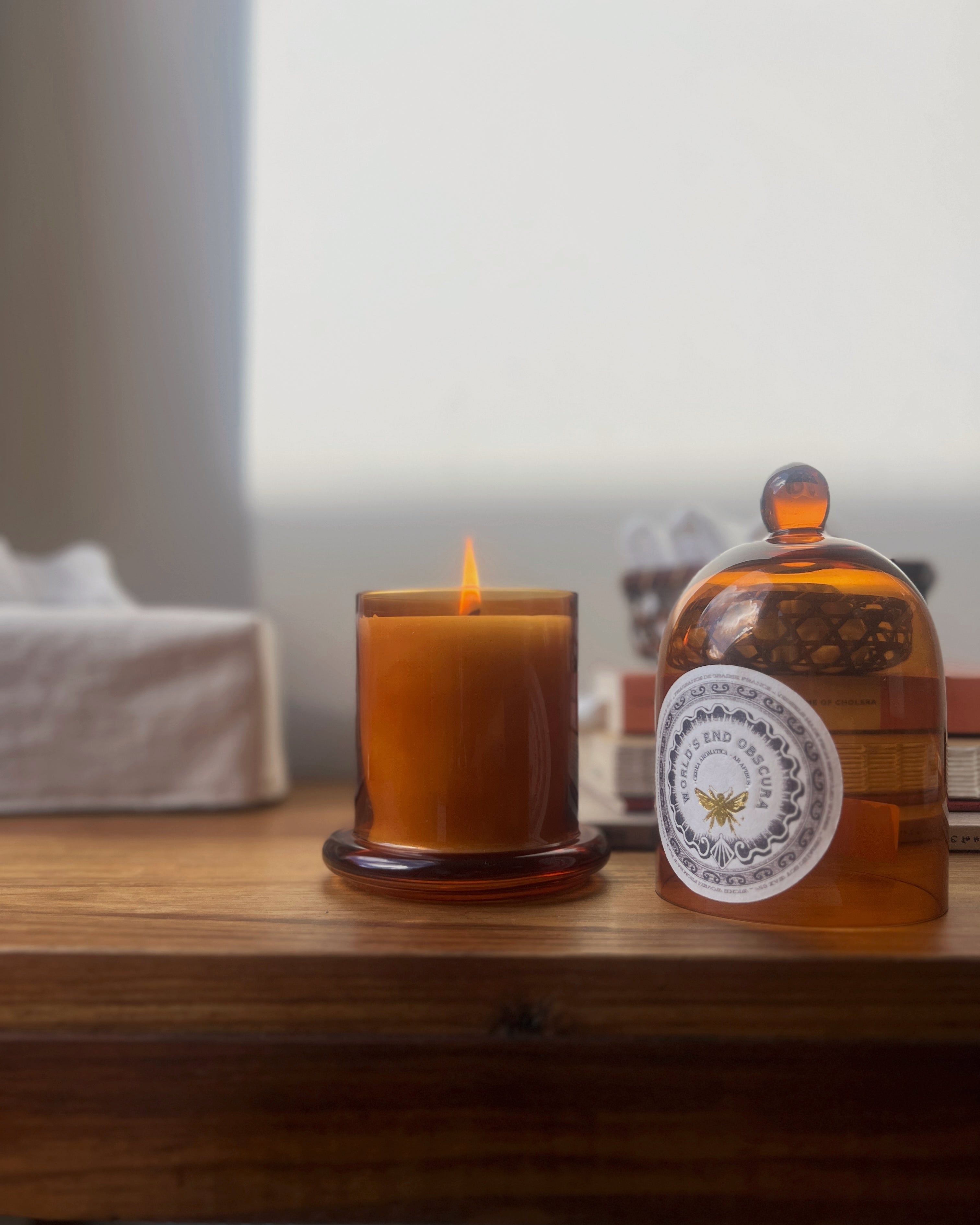 world's end obscura : no.5 santalum candle