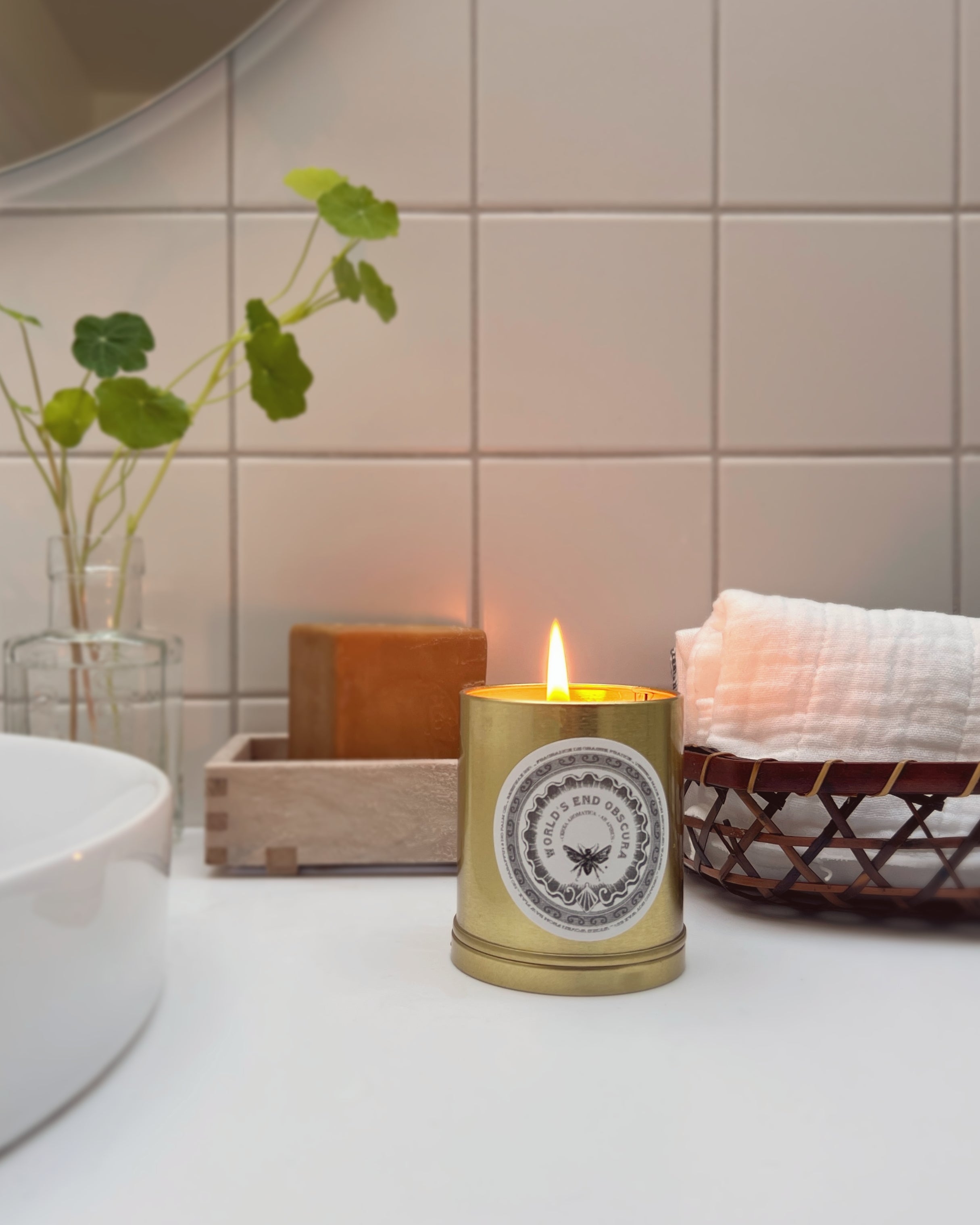 world's end obscura : no.86 dianthus noctis candle
