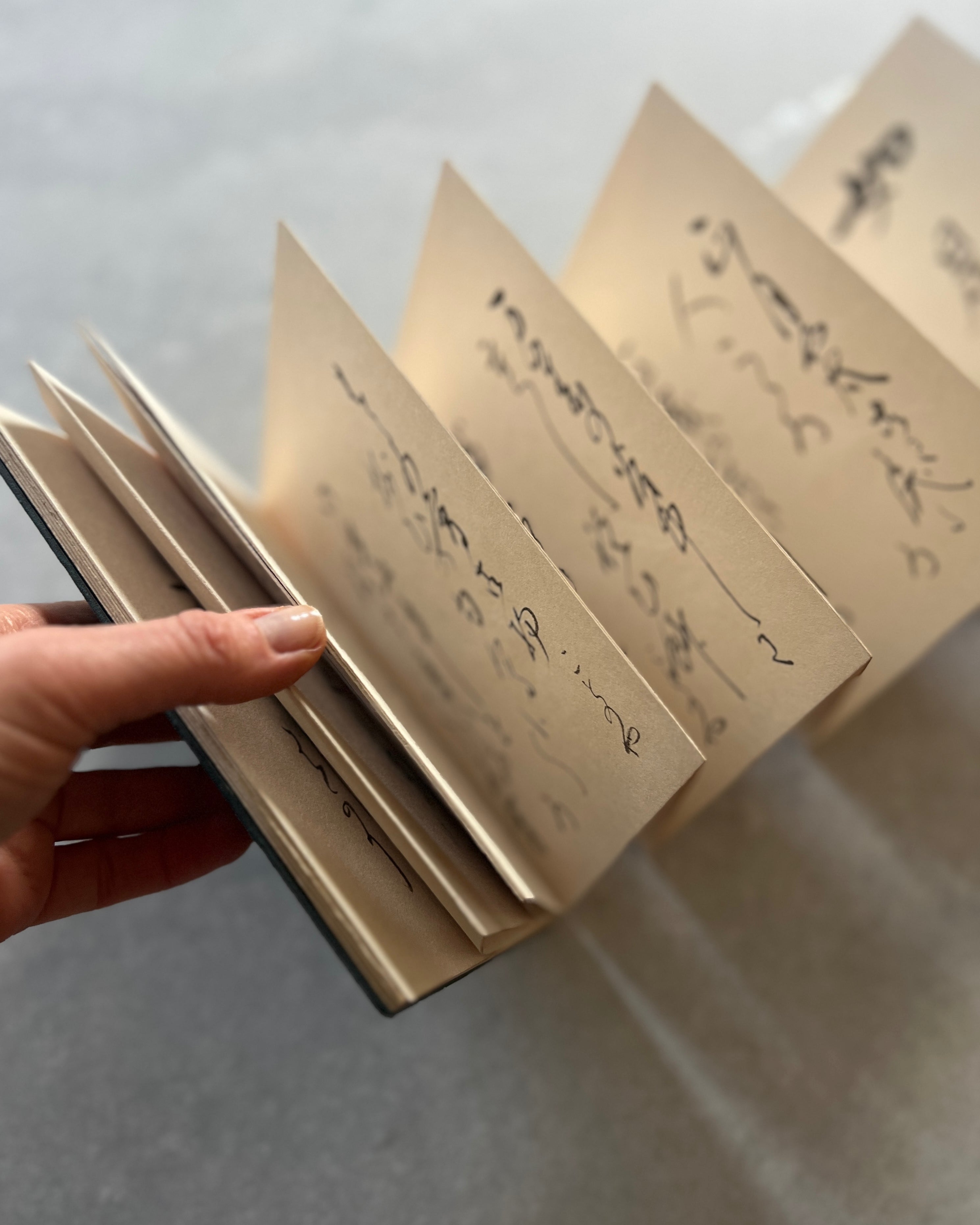 vintage Japanese book